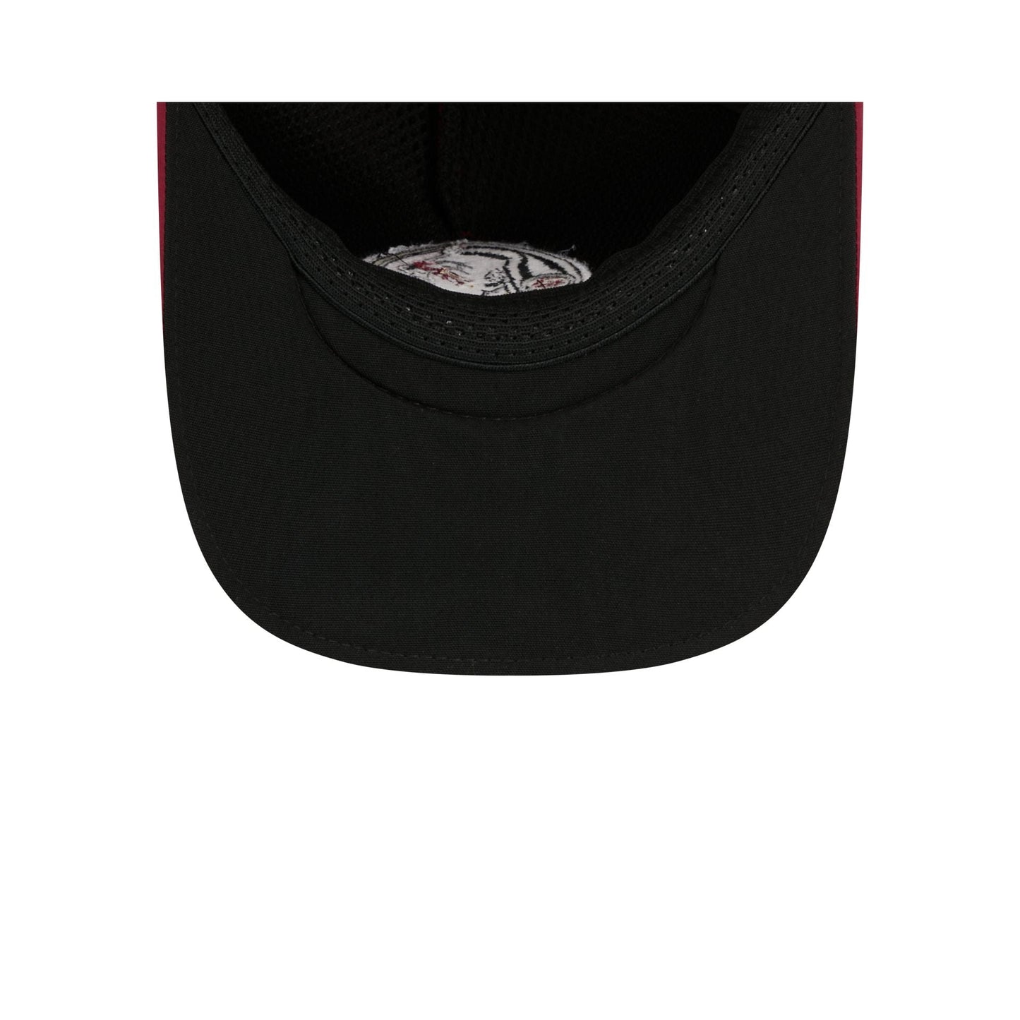 Florida State Seminoles 9FORTY APEX Snapback Hat