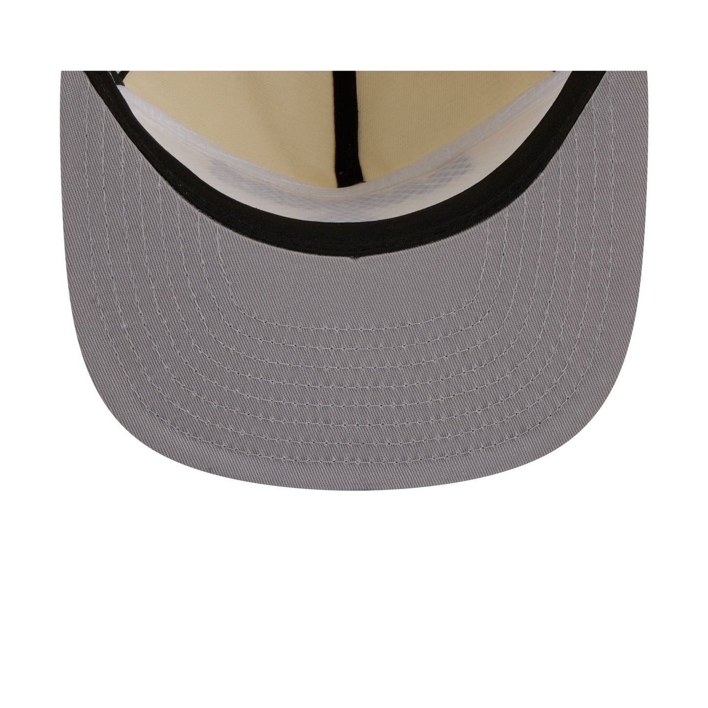 Las Vegas Raiders Metallic Logo 19TWENTY Adjustable Hat