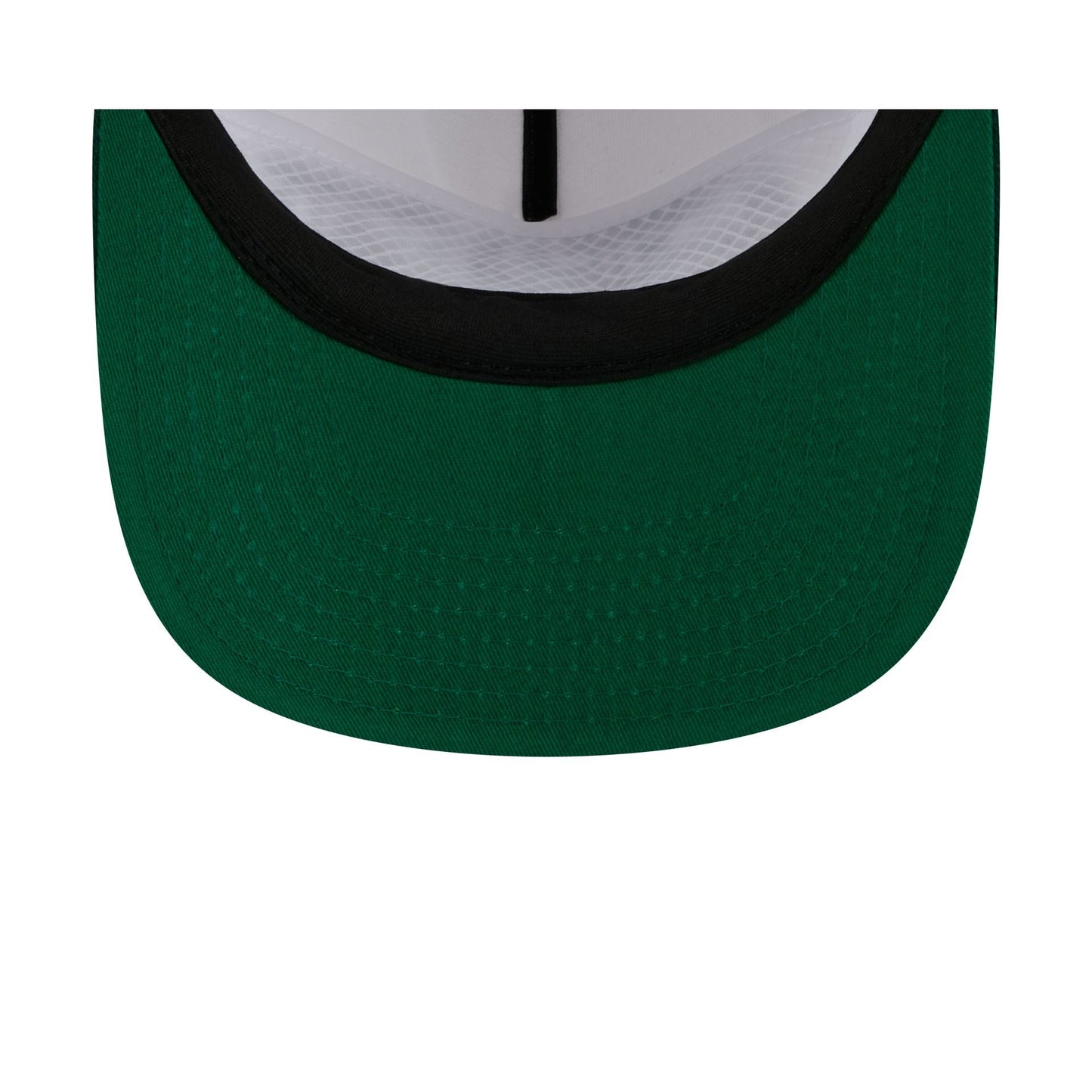 Michigan State Spartans Collegiate Wordmark 19TWENTY Snapback Hat