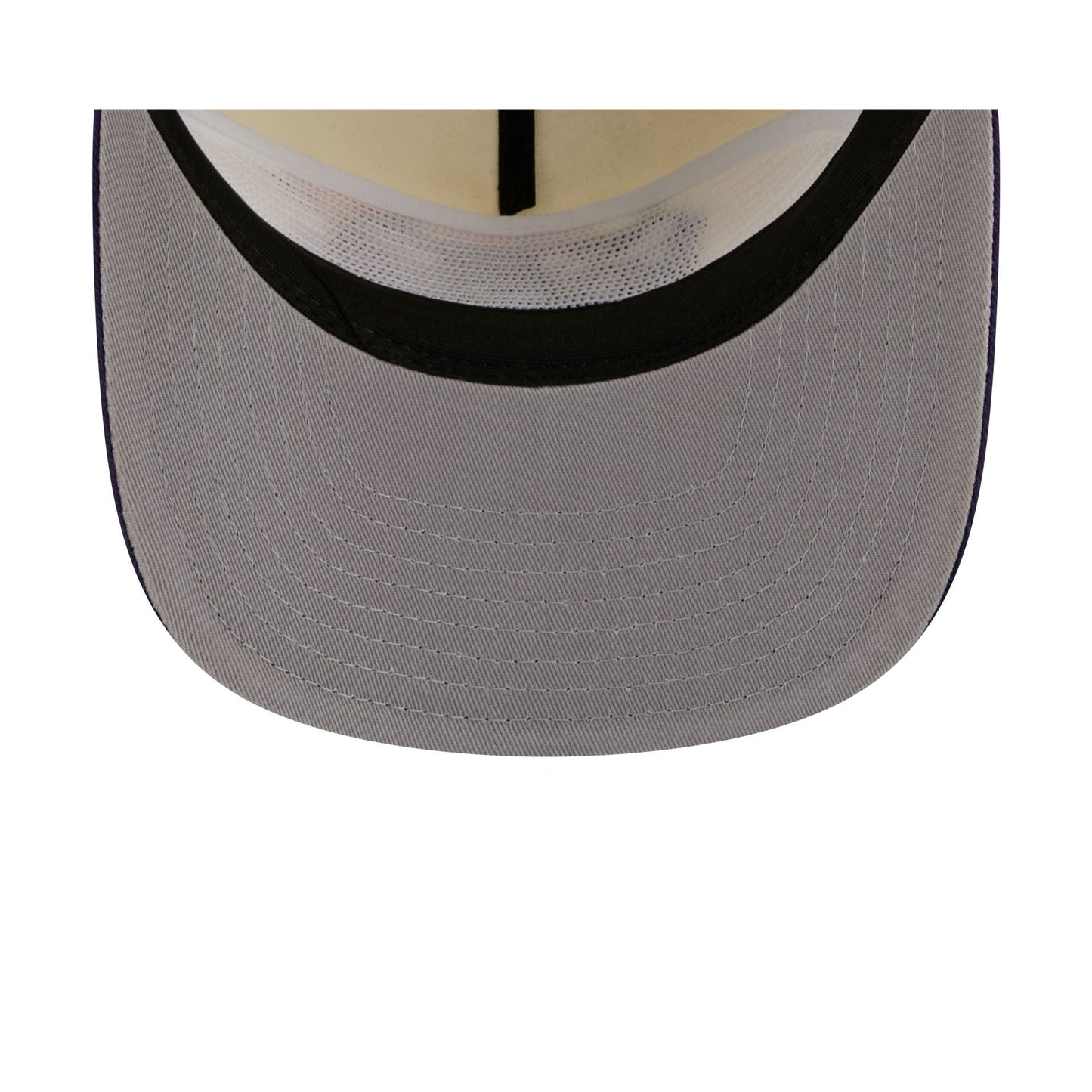 Charlotte Hornets Hardwood Classics Retro Chrome 19TWENTY Adjustable Hat
