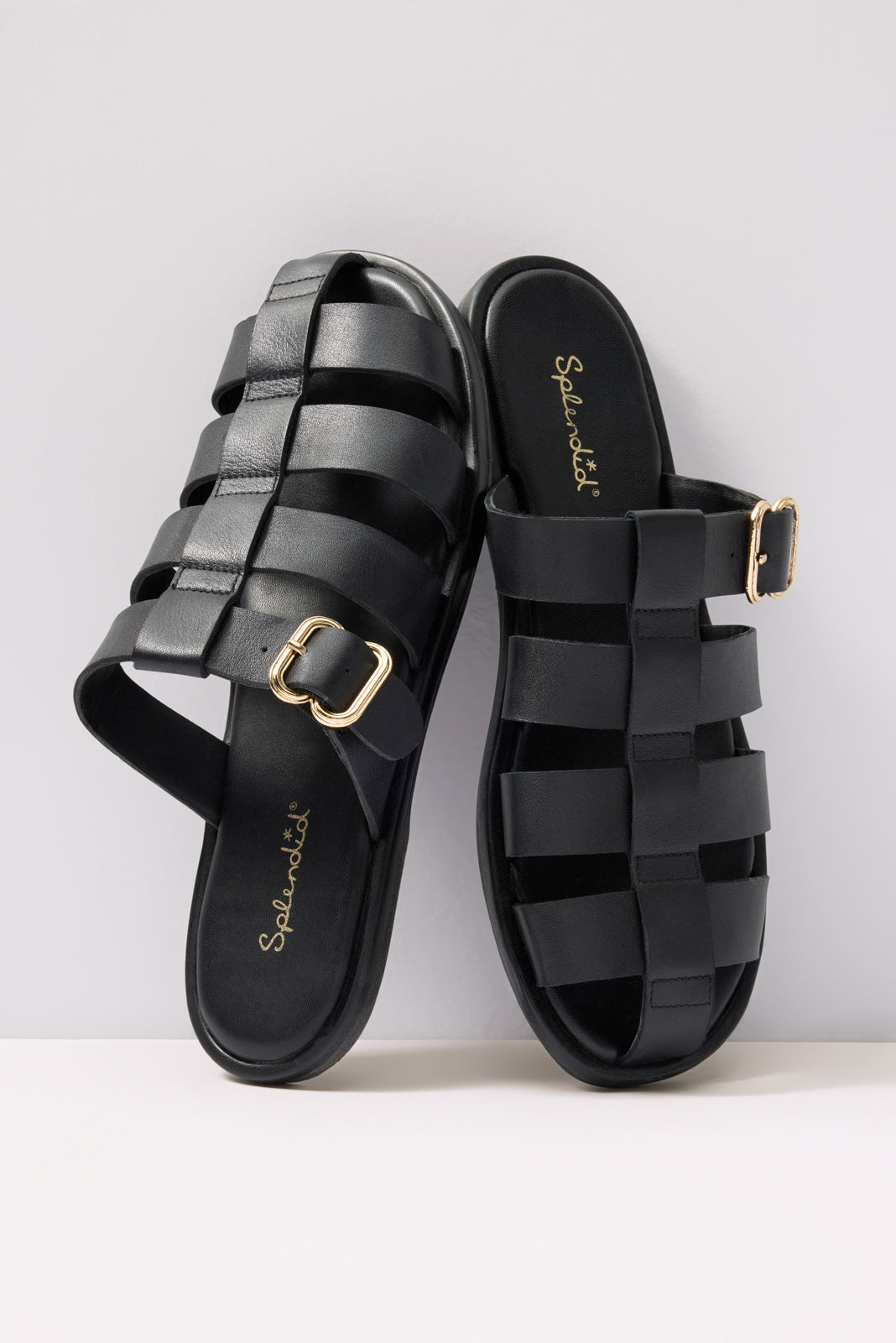 Fatima FIsherman Slide