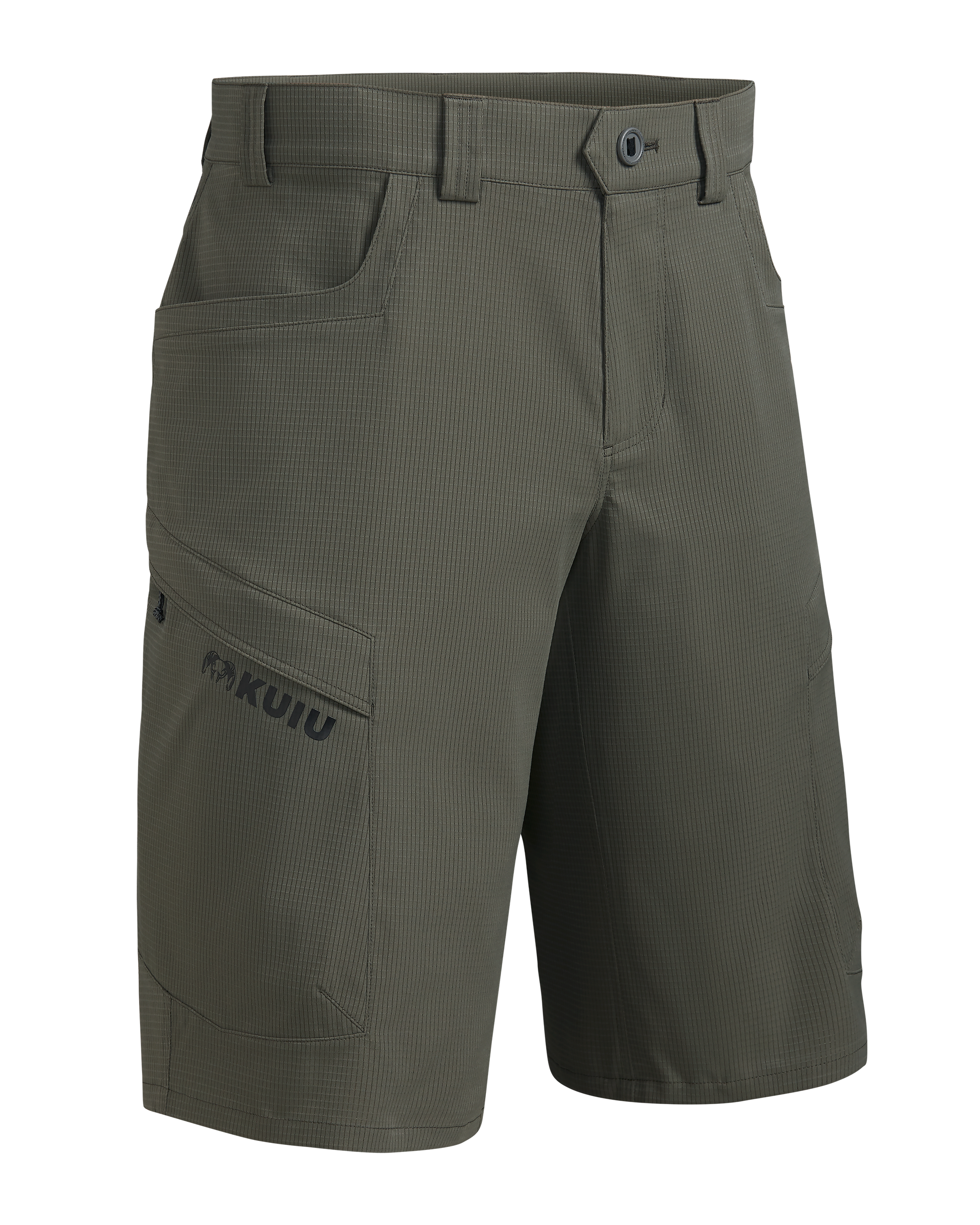 Tiburon 13″ Short | Ash