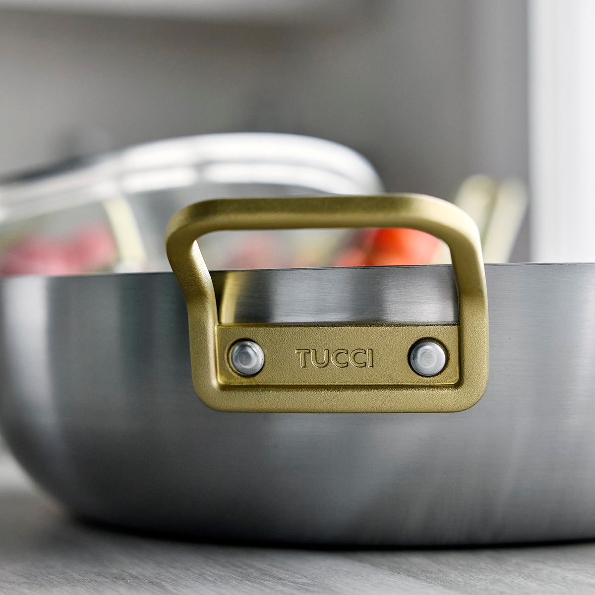 Stanley Tucci™ Uncoated Stainless Steel 6.5-Quart Stanley Pan with Lid