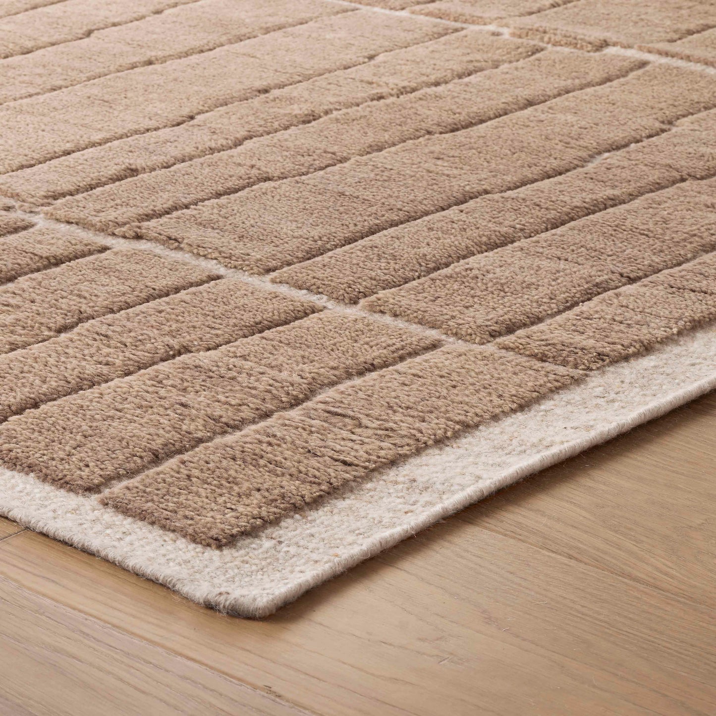 Aiden Hand-Knotted Area Rug