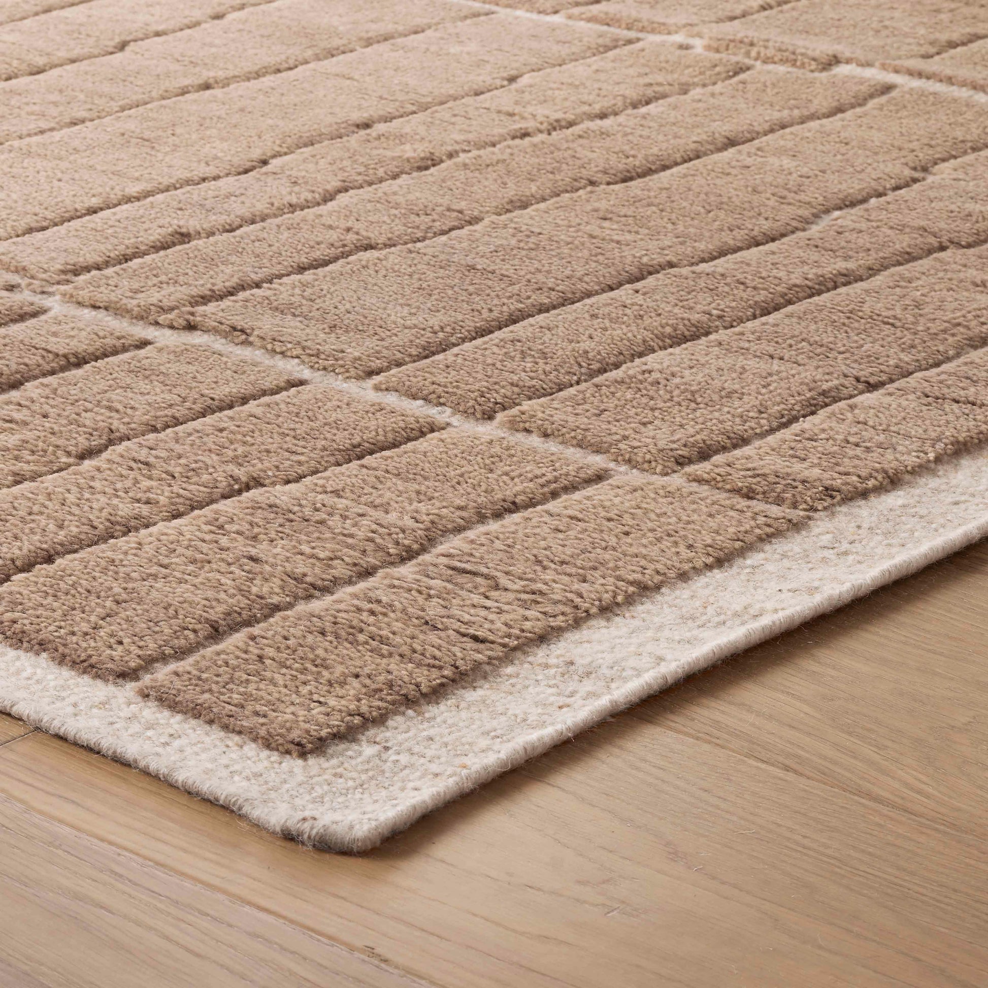 Aiden Hand-Knotted Area Rug