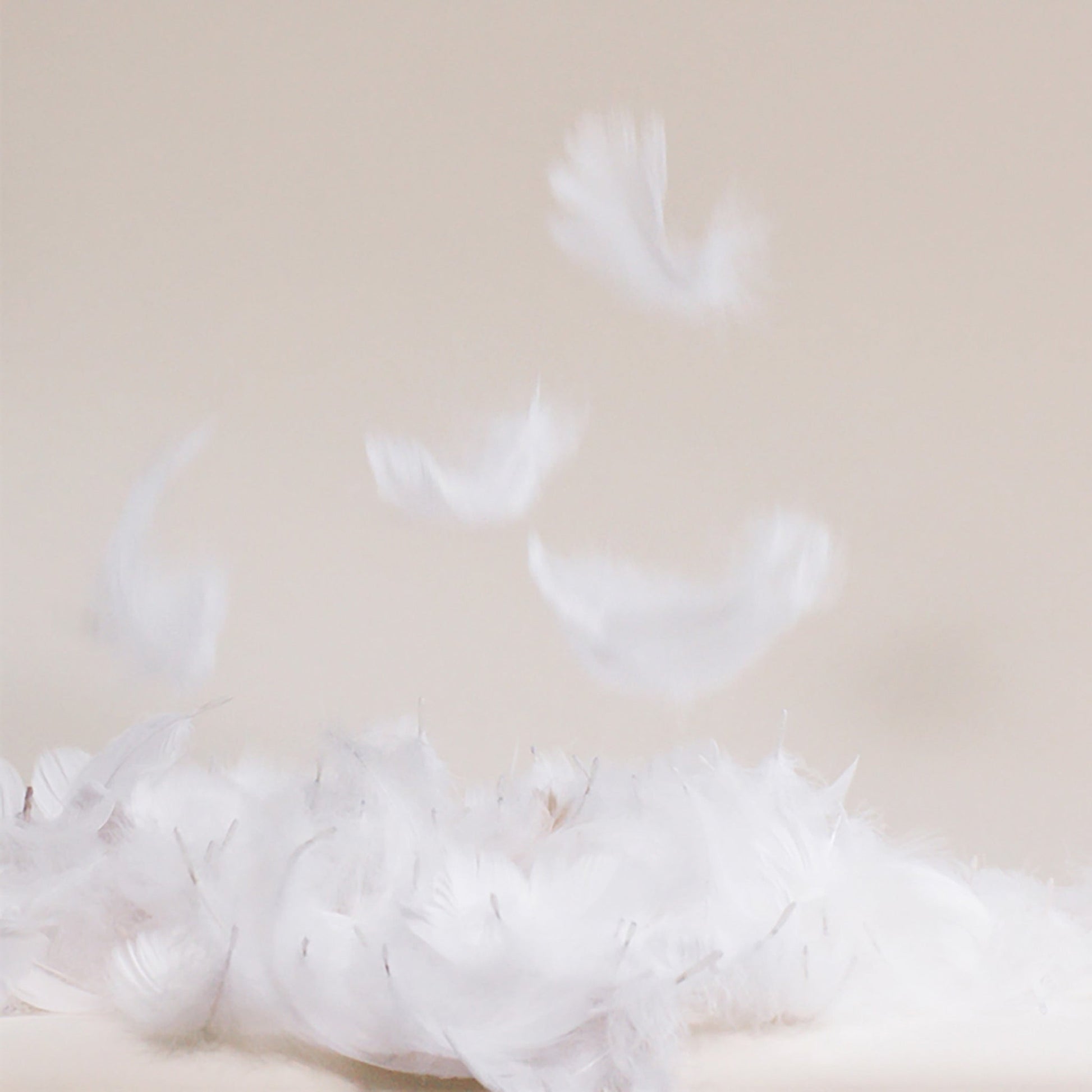 Down Comforter