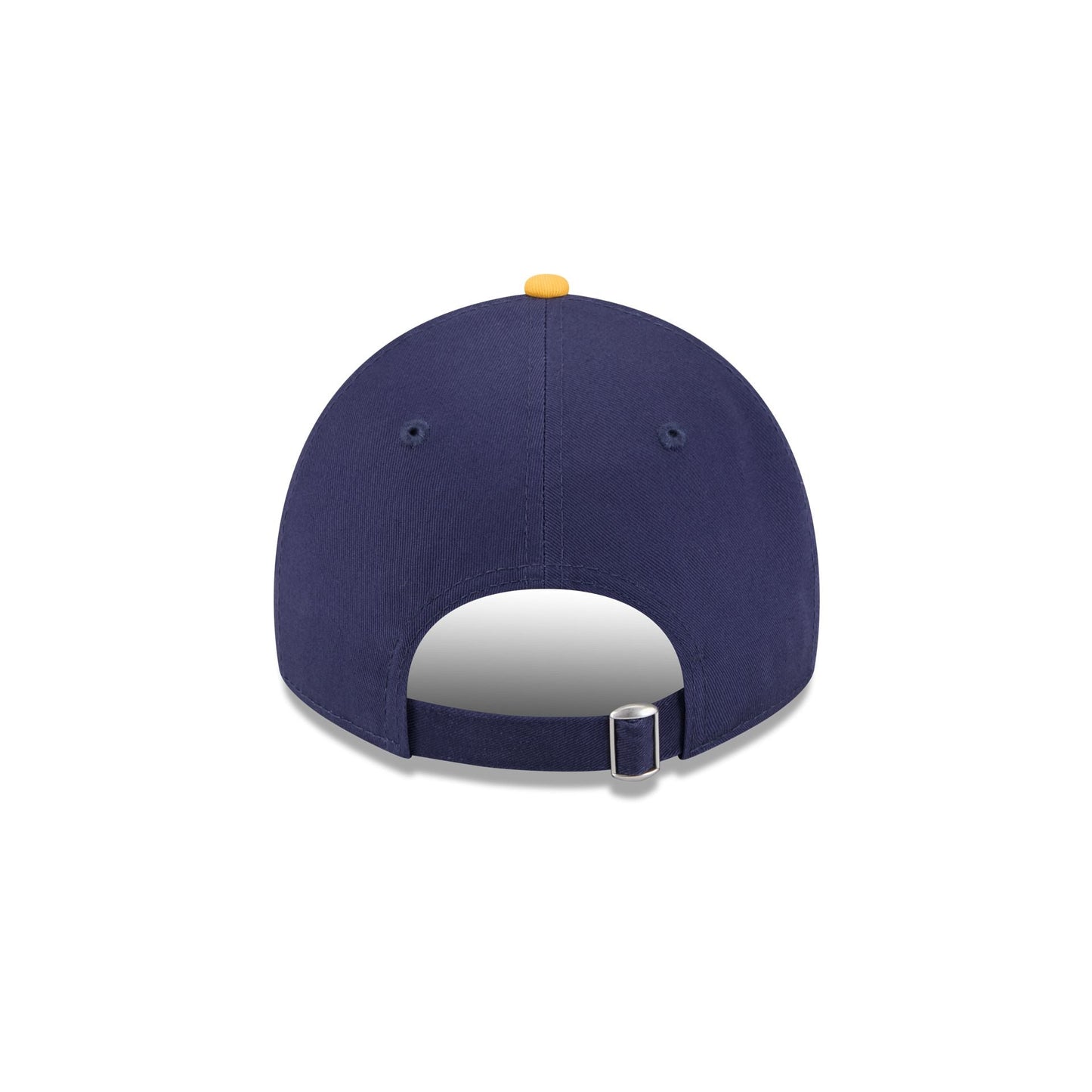 Hudson Valley Renegades Theme Night Navy 9TWENTY Adjustable Hat