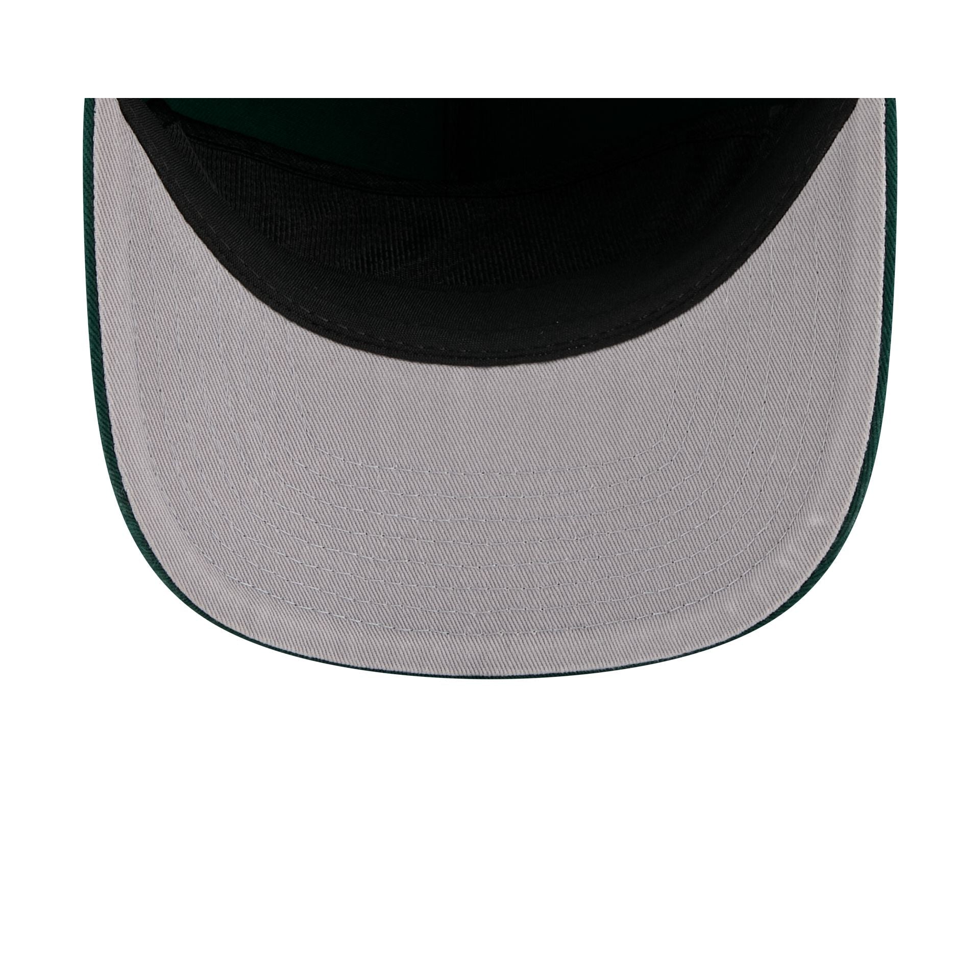 Michigan State Spartans 19TWENTY Snapback Hat
