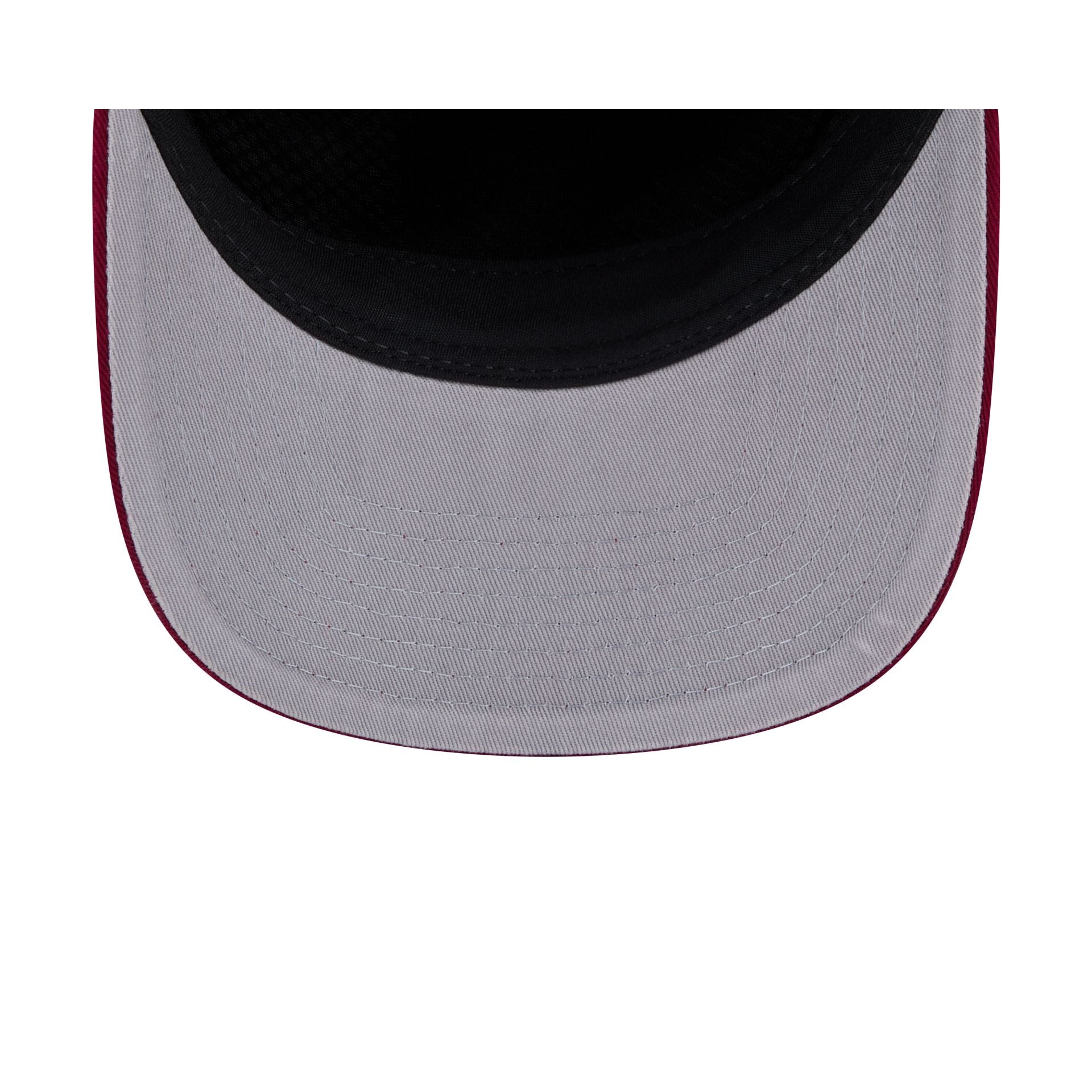 Florida State Seminoles 19TWENTY Snapback Hat