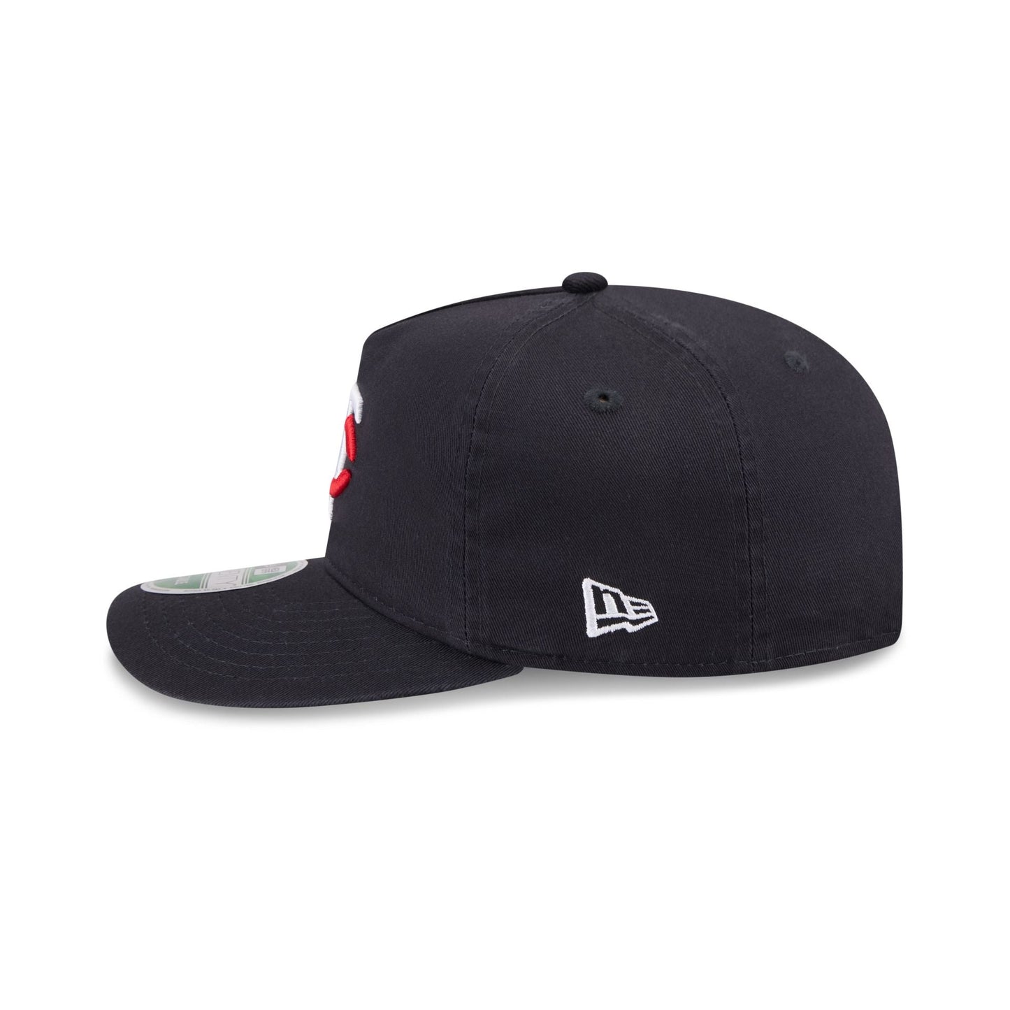 Minnesota Twins 19TWENTY Snapback Hat