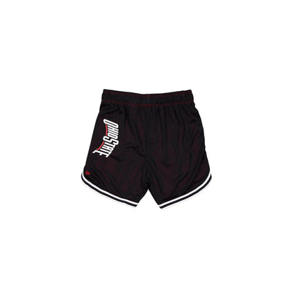 Ohio State Buckeyes Team Color Women's Summer Shorts