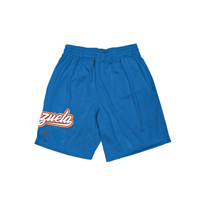 Venezuela Summer Shorts