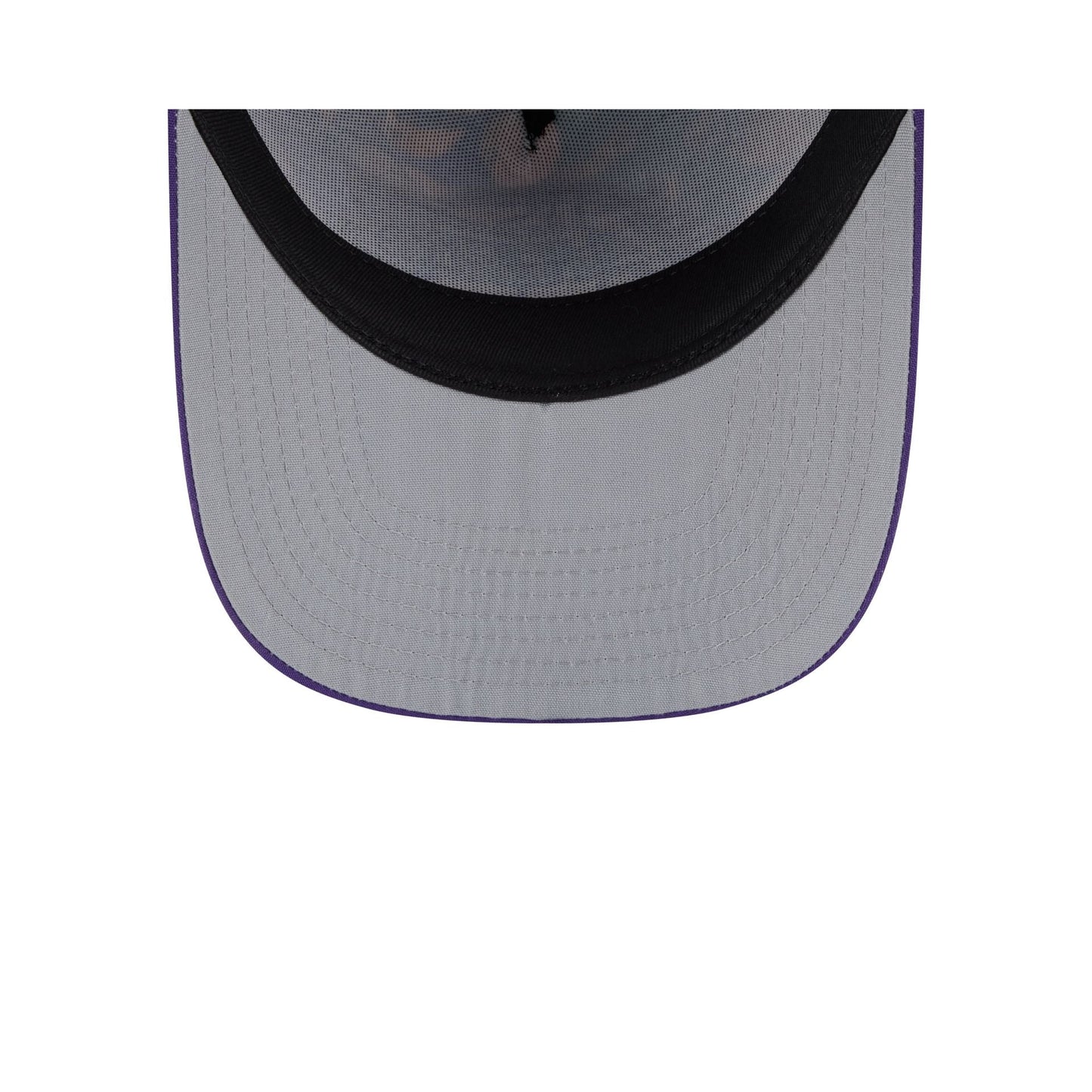 Los Angeles Lakers Leaves 9FIFTY A-Frame Snapback Hat