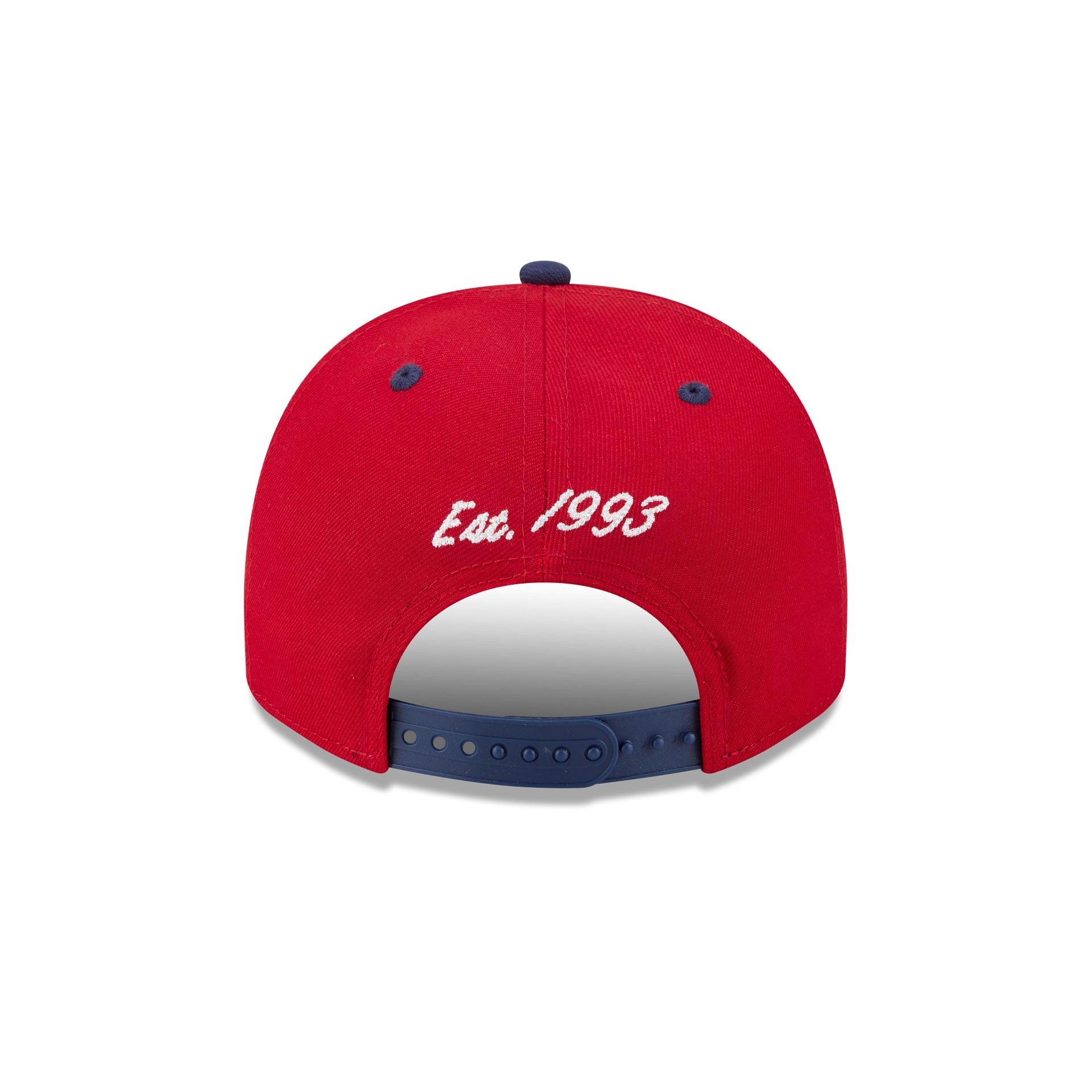 Florida Panthers Arched 9FIFTY A-Frame Snapback Hat