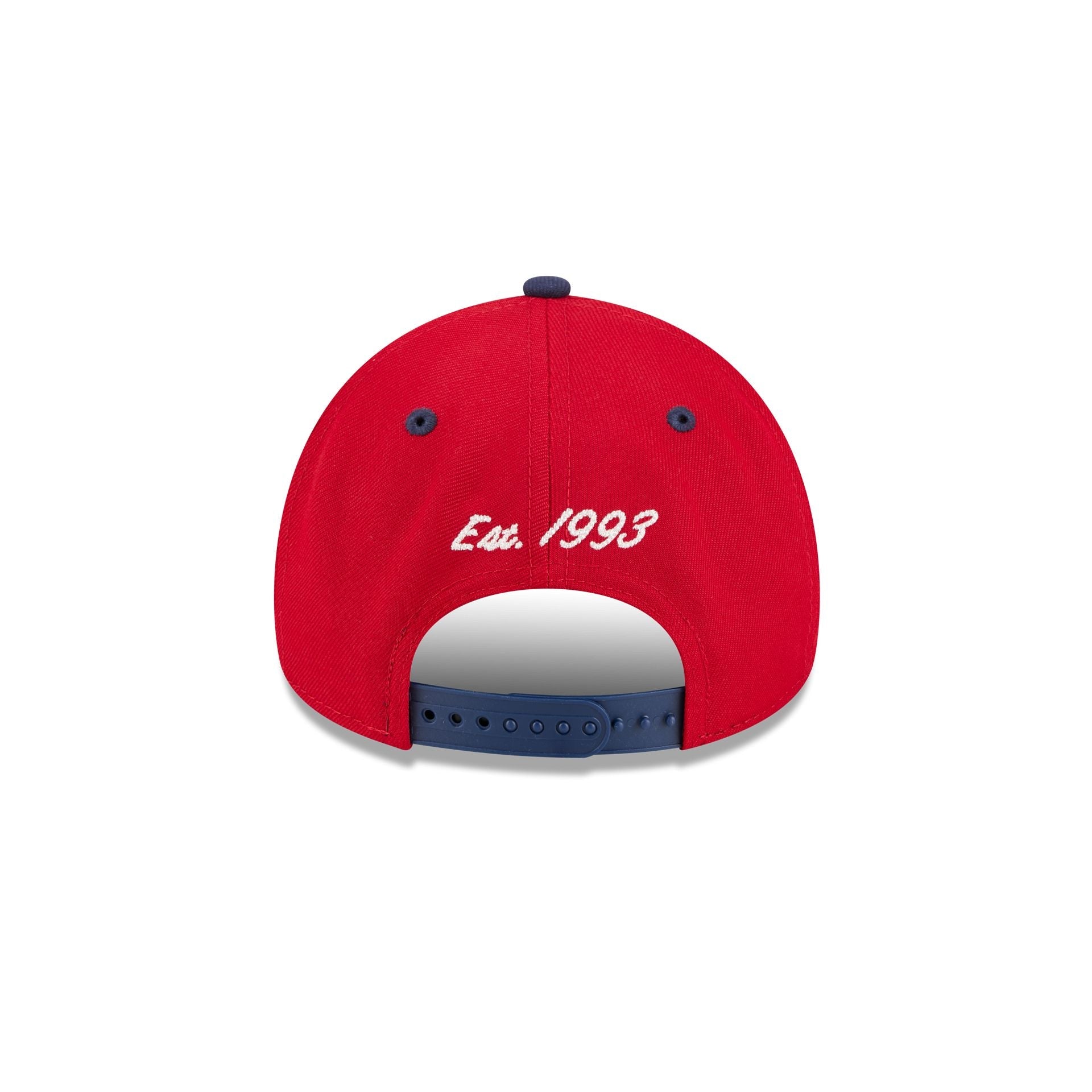 Florida Panthers Arched 9FORTY A-Frame Snapback Hat