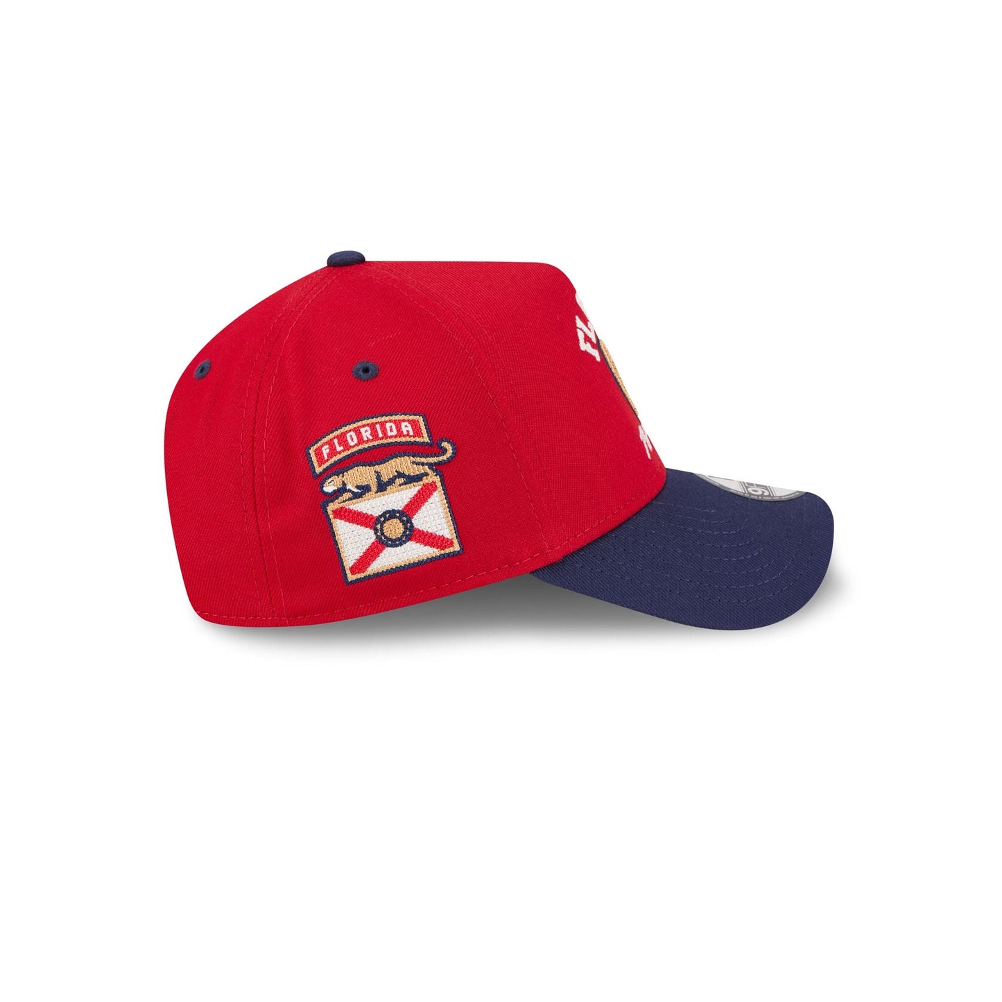 Florida Panthers Arched 9FORTY A-Frame Snapback Hat
