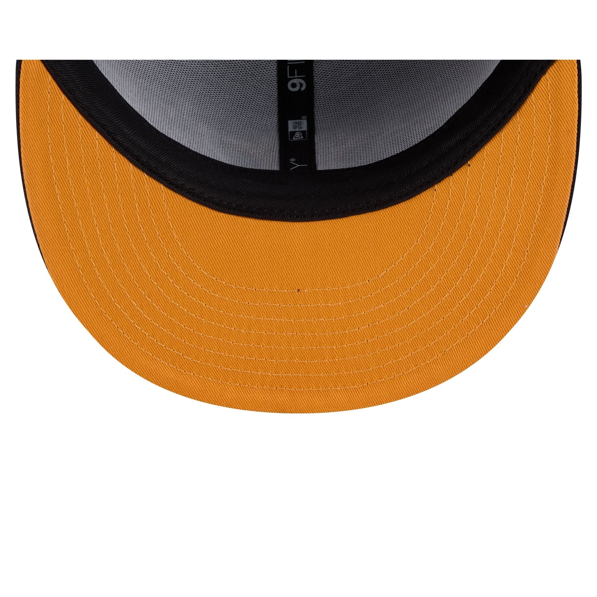 Houston Astros Daffy Duck Catch 9FIFTY Snapback Hat