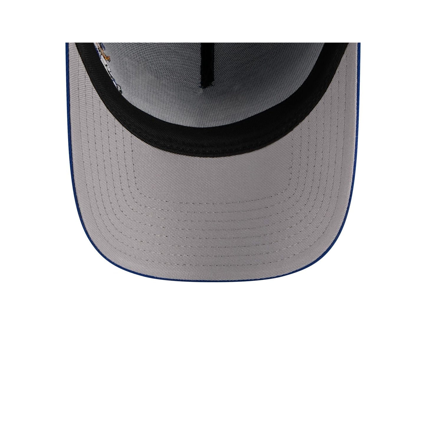 Toronto Blue Jays Looney Tunes 9FORTY A-Frame Snapback Hat