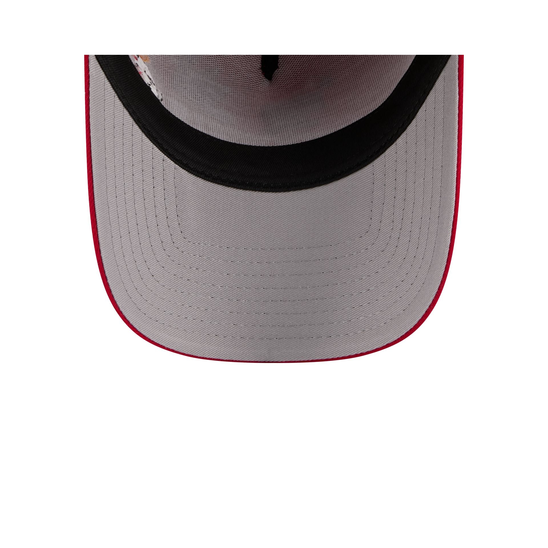 Washington Nationals Looney Tunes 9FORTY A-Frame Snapback Hat