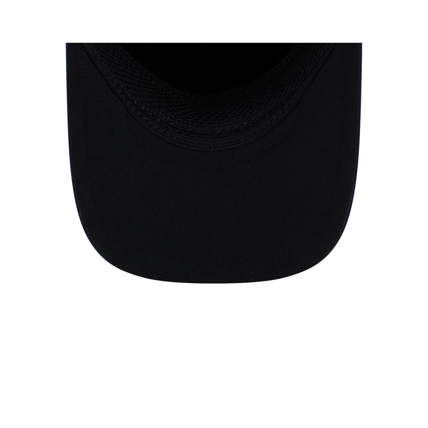 Memphis Grizzlies 9FORTY APEX Snapback Hat