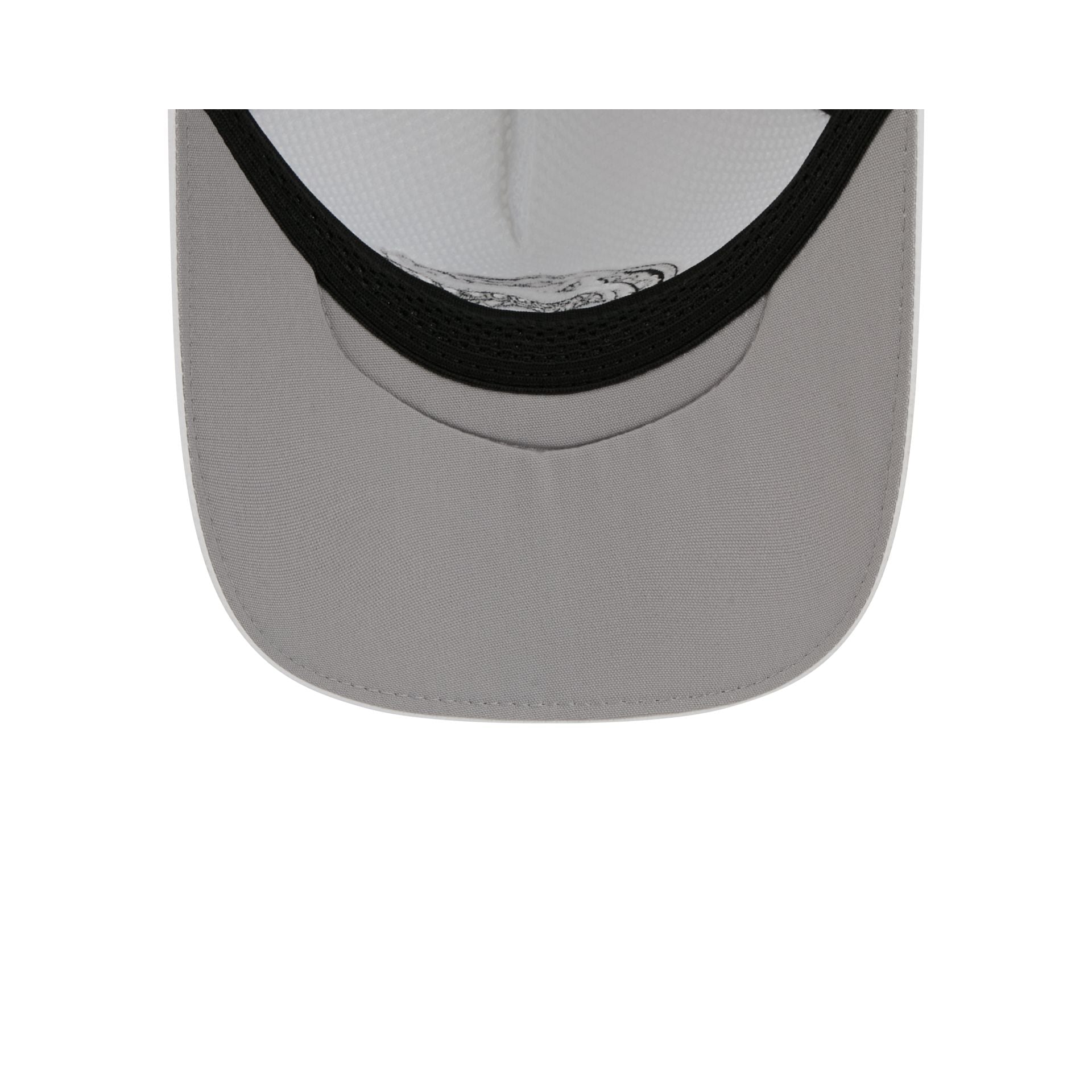 Florida Gators White 9FORTY APEX Snapback Hat