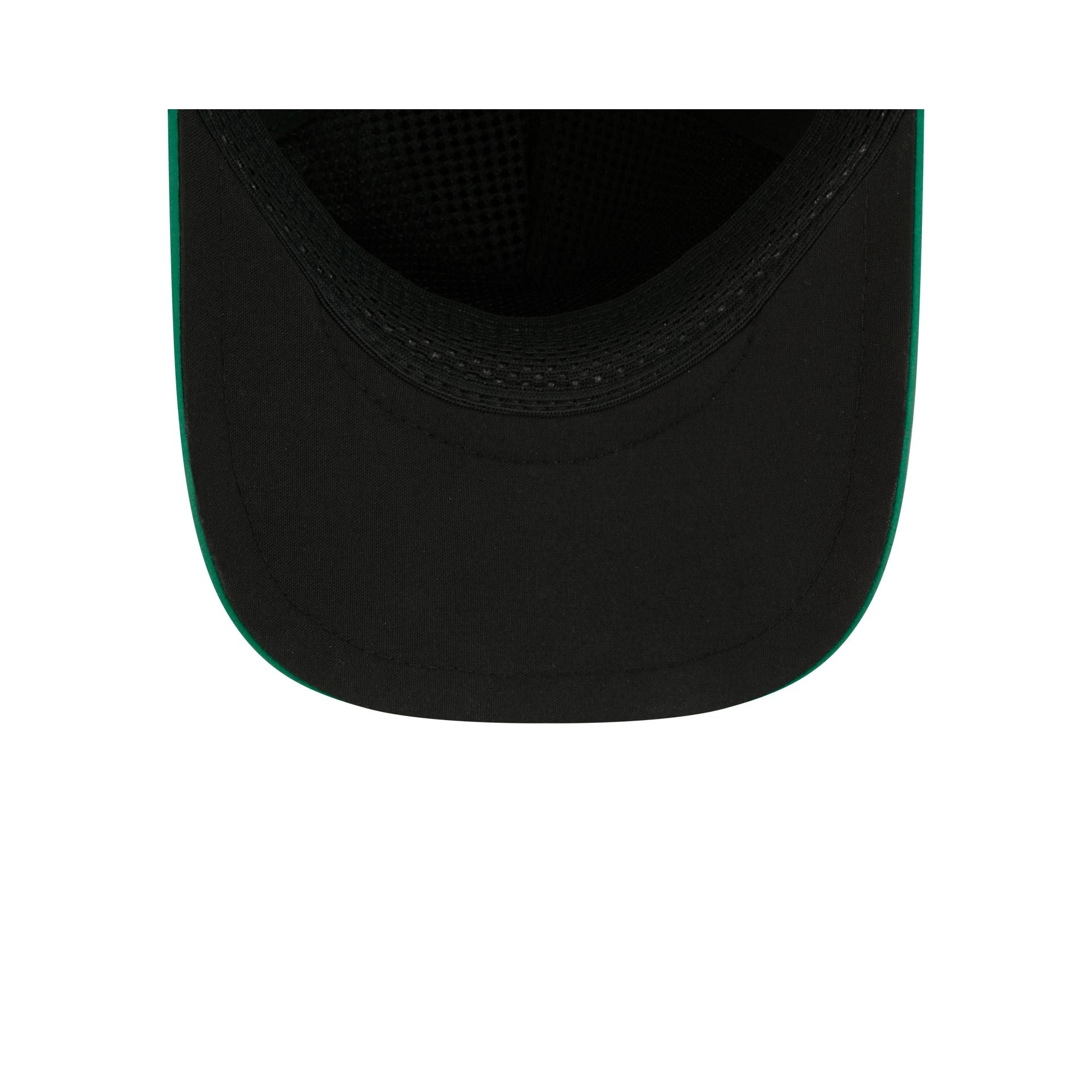 Boston Celtics Performance 9FORTY APEX Snapback Hat