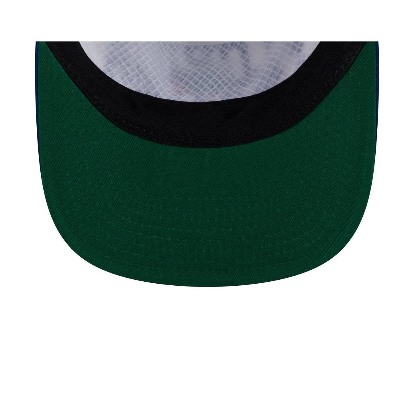 Florida Gators Collegiate Wordmark 19TWENTY Snapback Hat
