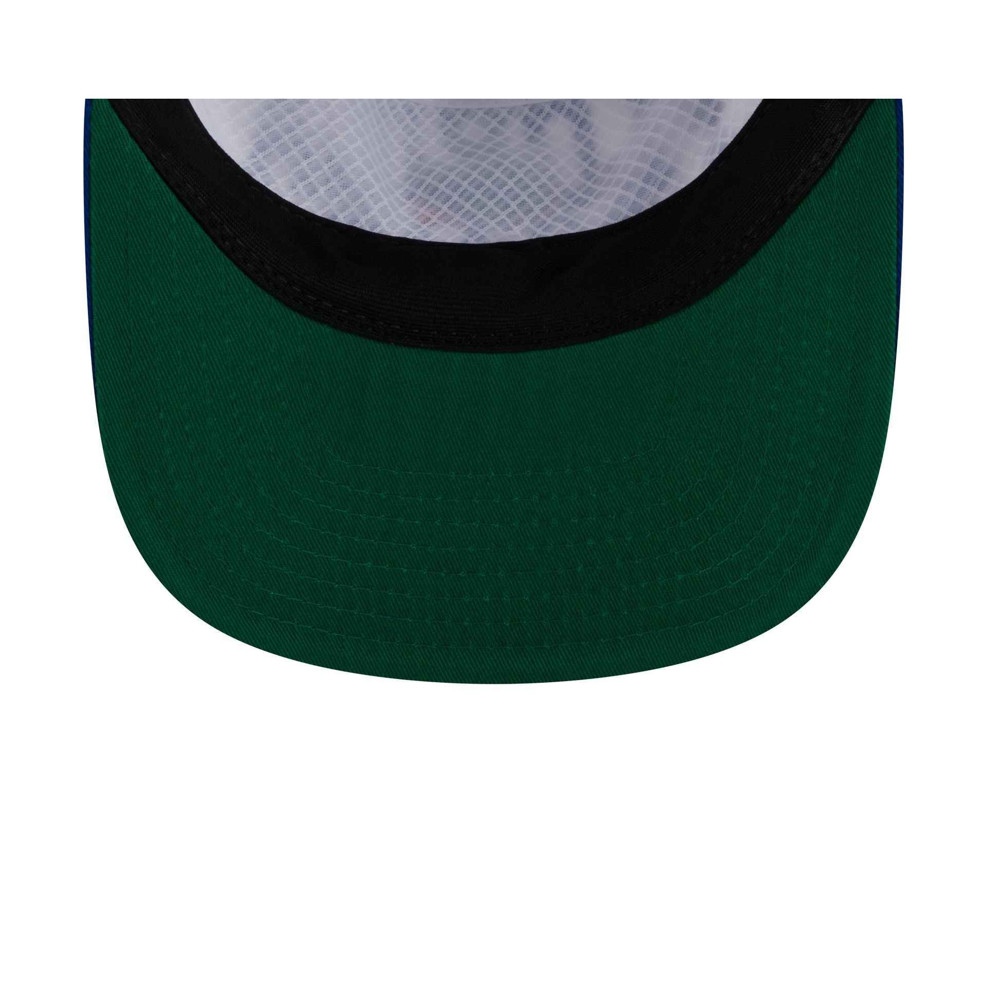 Florida Gators Collegiate Wordmark 19TWENTY Snapback Hat