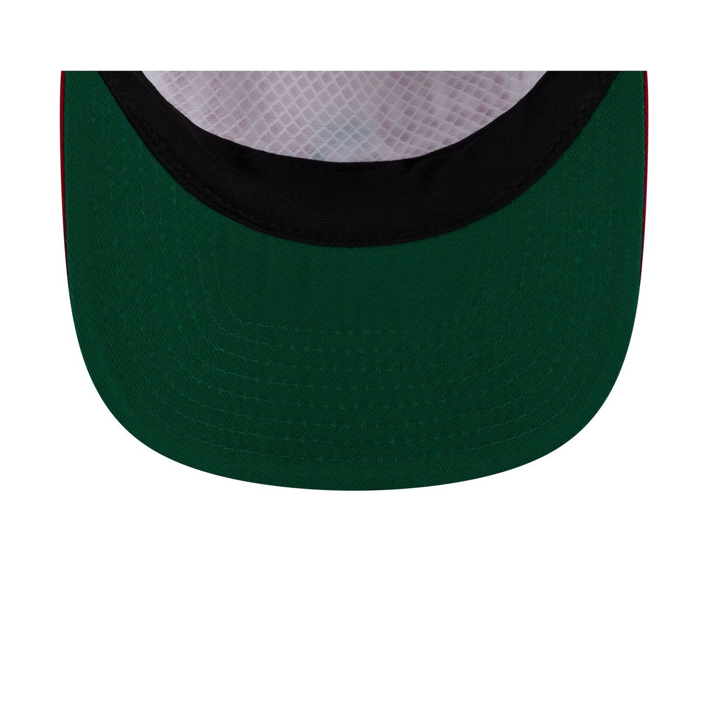 Ohio State Buckeyes Collegiate Wordmark 19TWENTY Snapback Hat