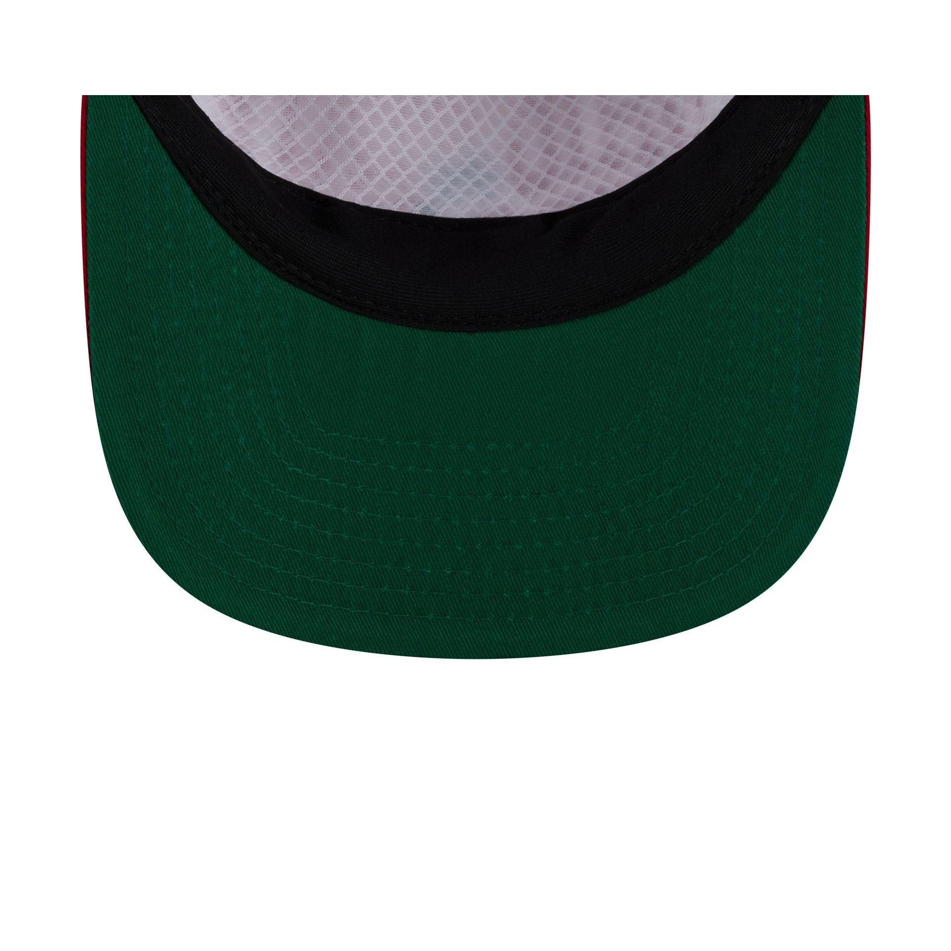 Ohio State Buckeyes Collegiate Wordmark 19TWENTY Snapback Hat