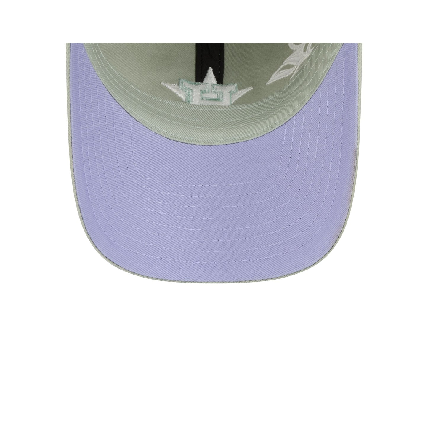 Houston Astros Stitched Flowers Casual Classic Adjustable Hat