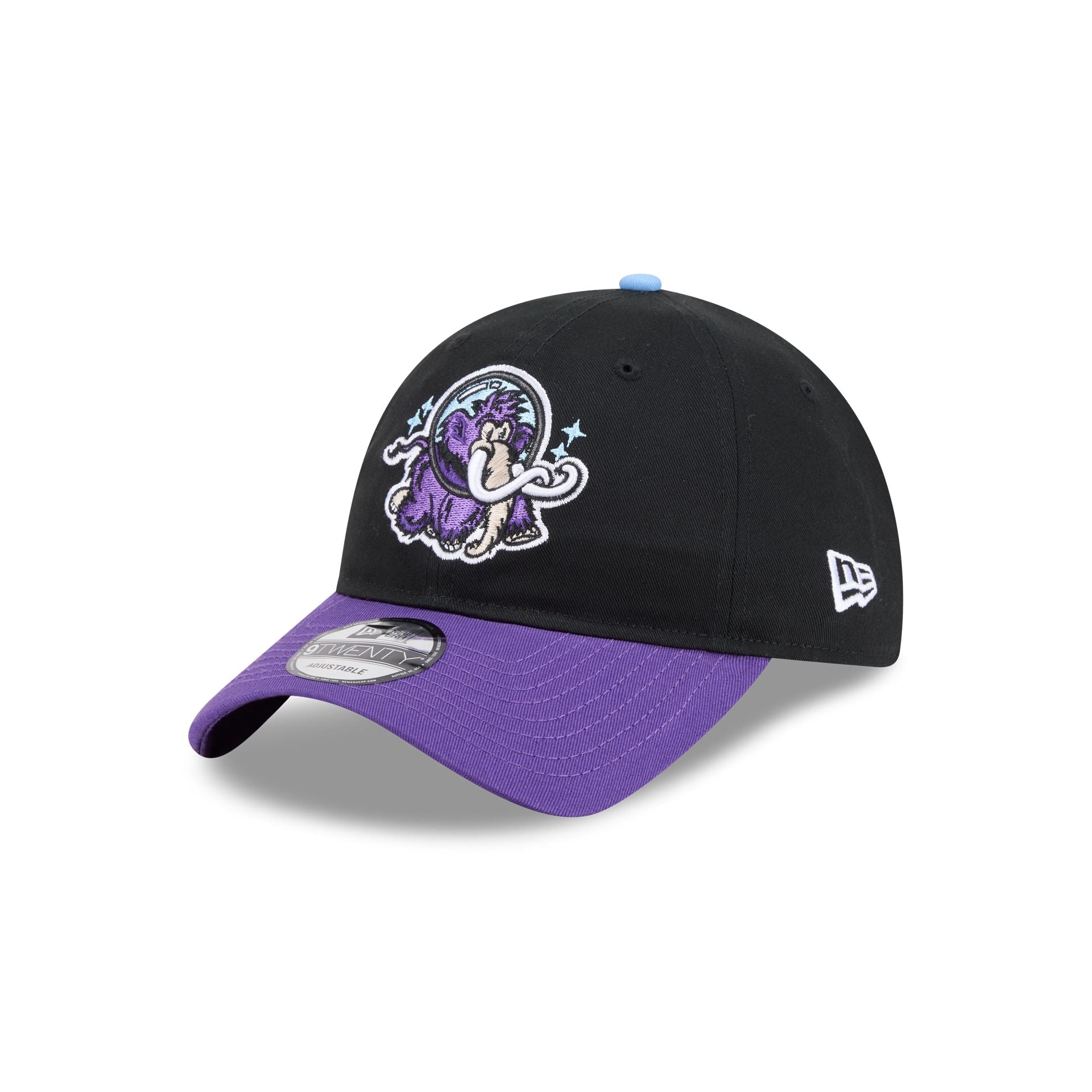 Erie SeaWolves Theme Night Black 9TWENTY Adjustable Hat