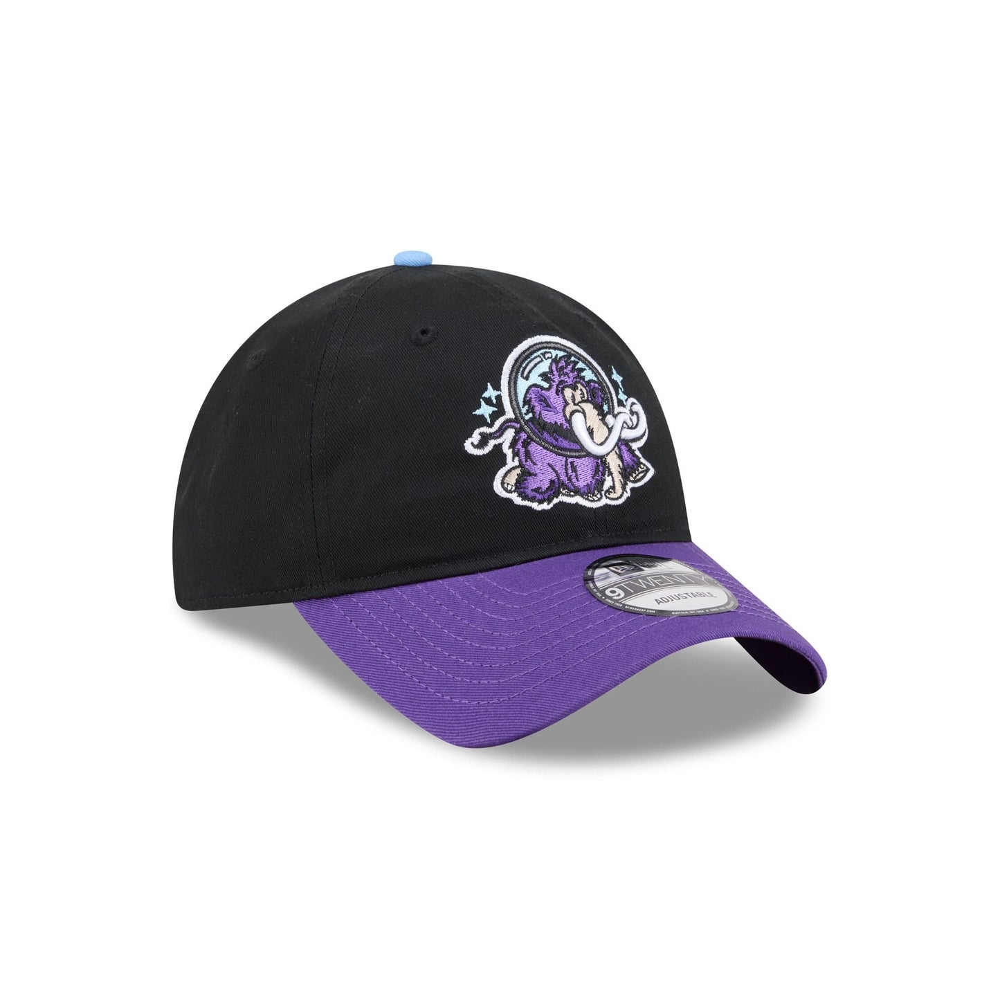 Erie SeaWolves Theme Night Black 9TWENTY Adjustable Hat