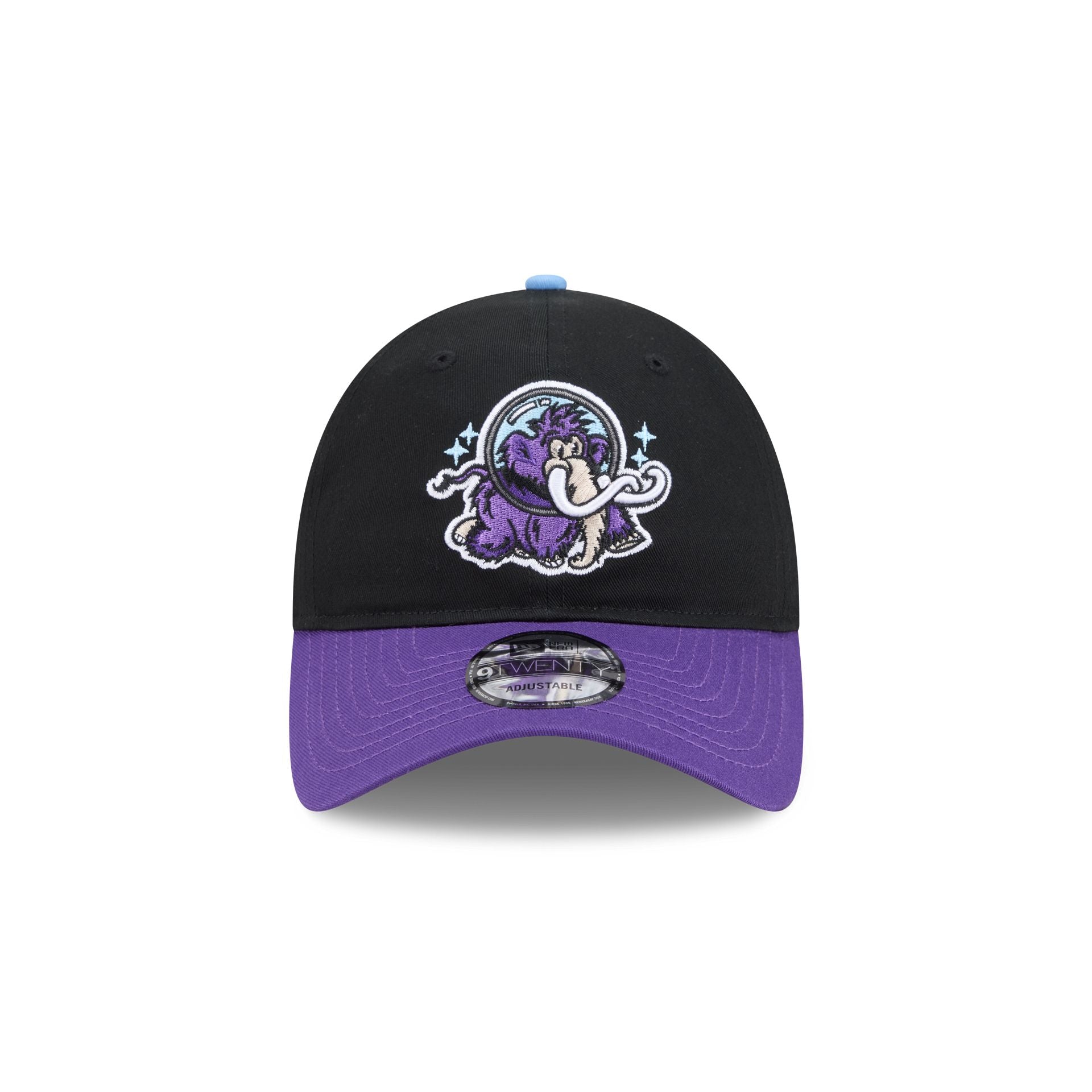 Erie SeaWolves Theme Night Black 9TWENTY Adjustable Hat