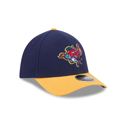 Hudson Valley Renegades Theme Night 39THIRTY M-Crown Stretch Fit Hat