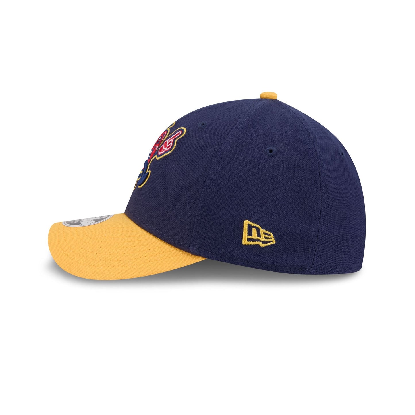 Hudson Valley Renegades Theme Night 39THIRTY M-Crown Stretch Fit Hat