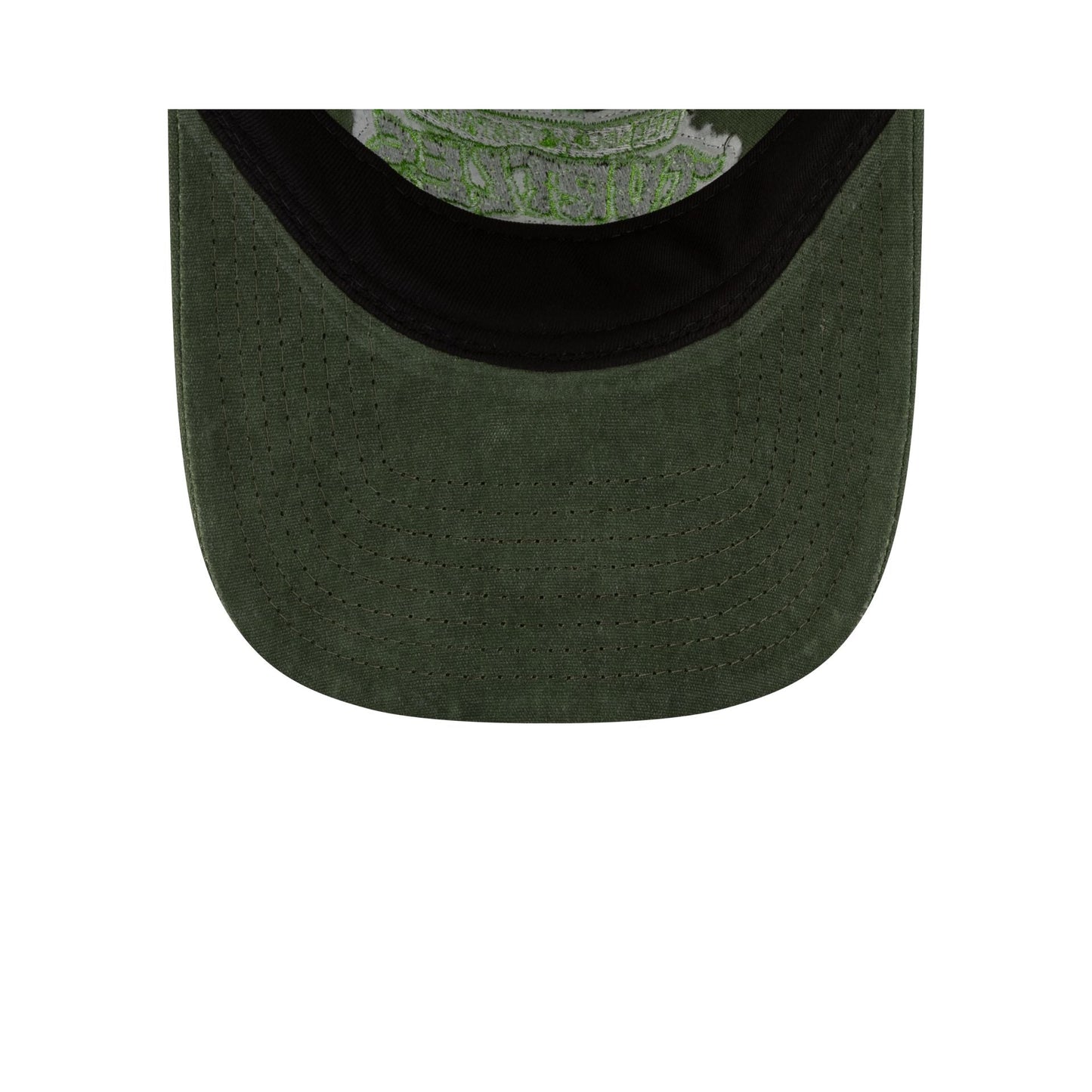 Teenage Mutant Ninja Turtles Frayed Green 9TWENTY Adjustable Hat