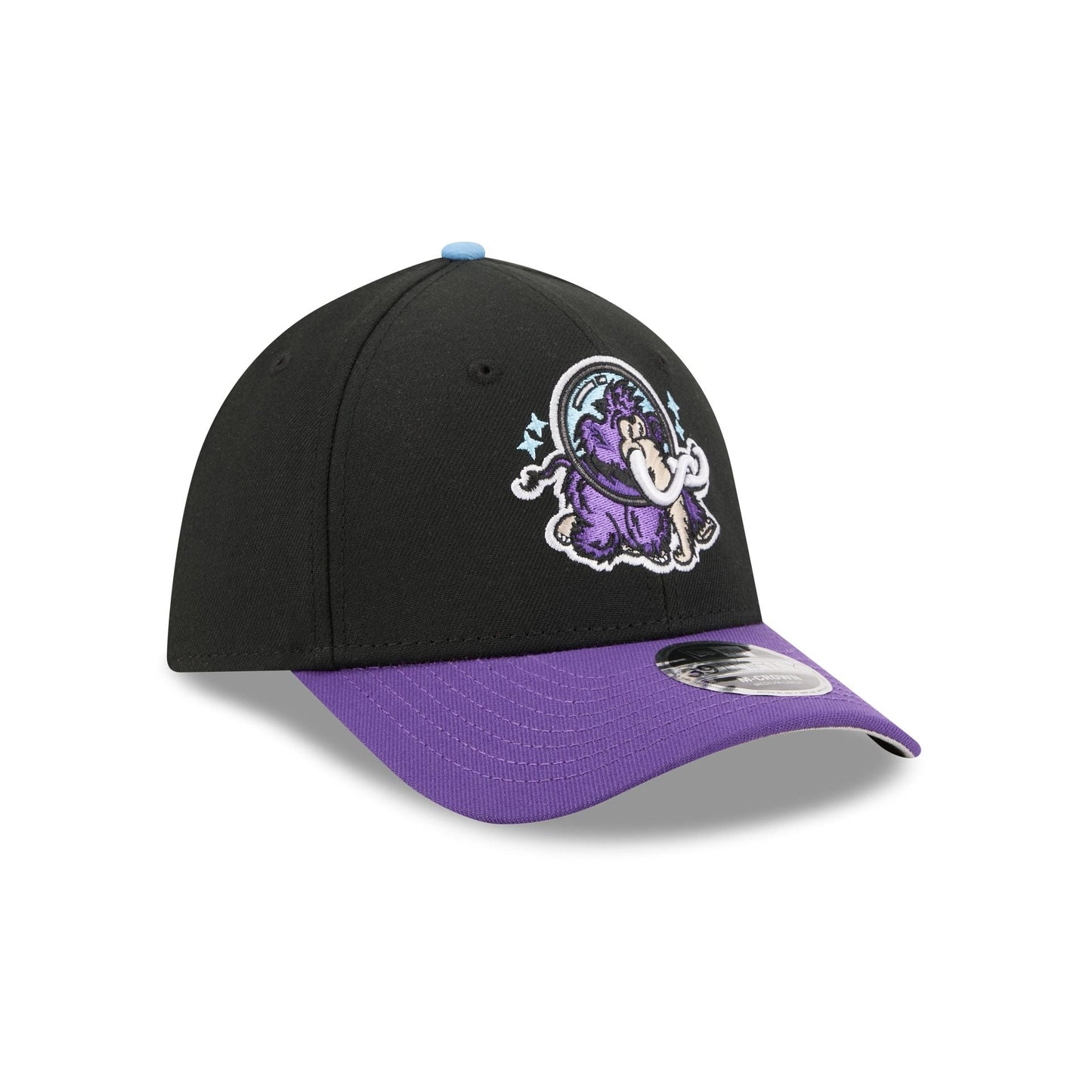 Erie SeaWolves Theme Night Black 39THIRTY M-Crown Stretch Fit Hat