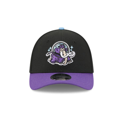 Erie SeaWolves Theme Night Black 39THIRTY M-Crown Stretch Fit Hat