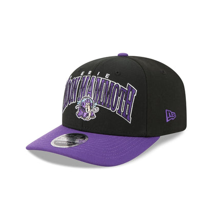 Erie SeaWolves Theme Night Black 9SEVENTY Stretch-Snap Hat