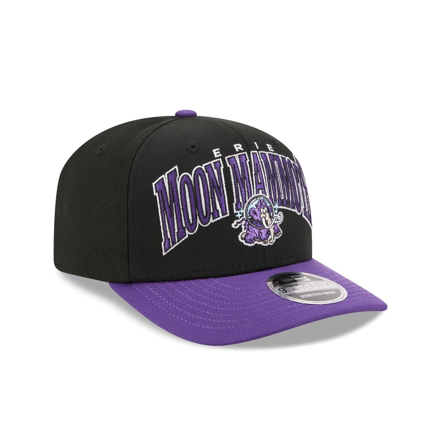 Erie SeaWolves Theme Night Black 9SEVENTY Stretch-Snap Hat