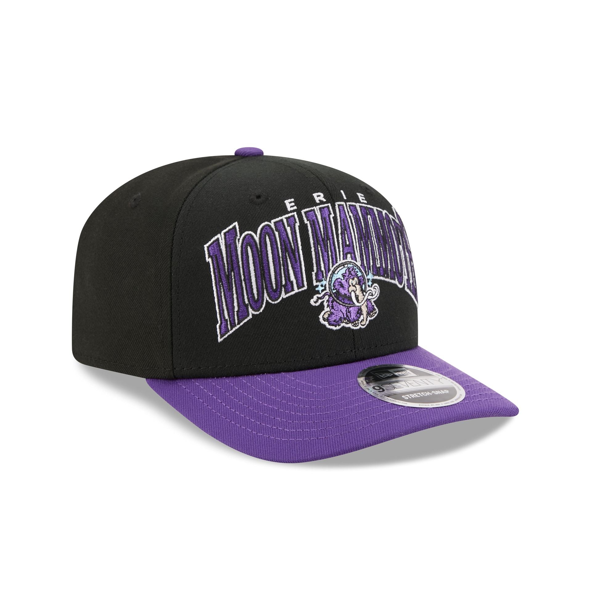 Erie SeaWolves Theme Night Black 9SEVENTY Stretch-Snap Hat