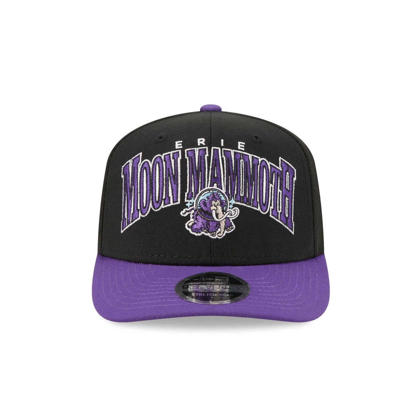 Erie SeaWolves Theme Night Black 9SEVENTY Stretch-Snap Hat