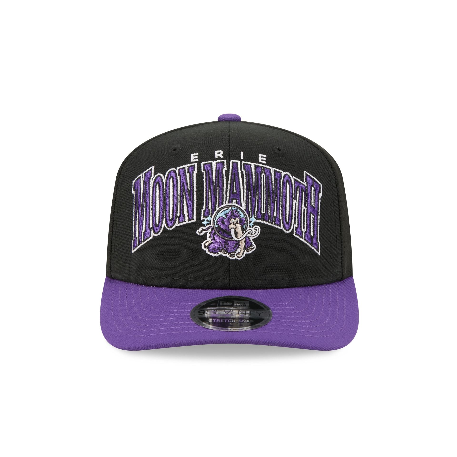 Erie SeaWolves Theme Night Black 9SEVENTY Stretch-Snap Hat