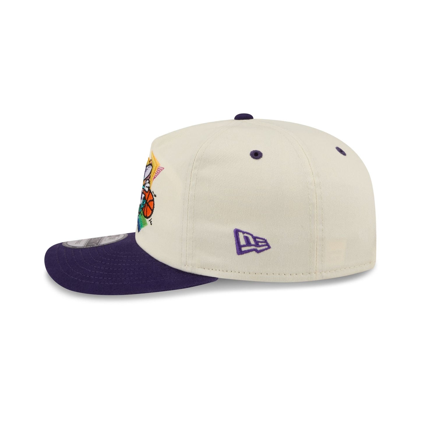 Charlotte Hornets Hardwood Classics Retro Chrome 19TWENTY Adjustable Hat