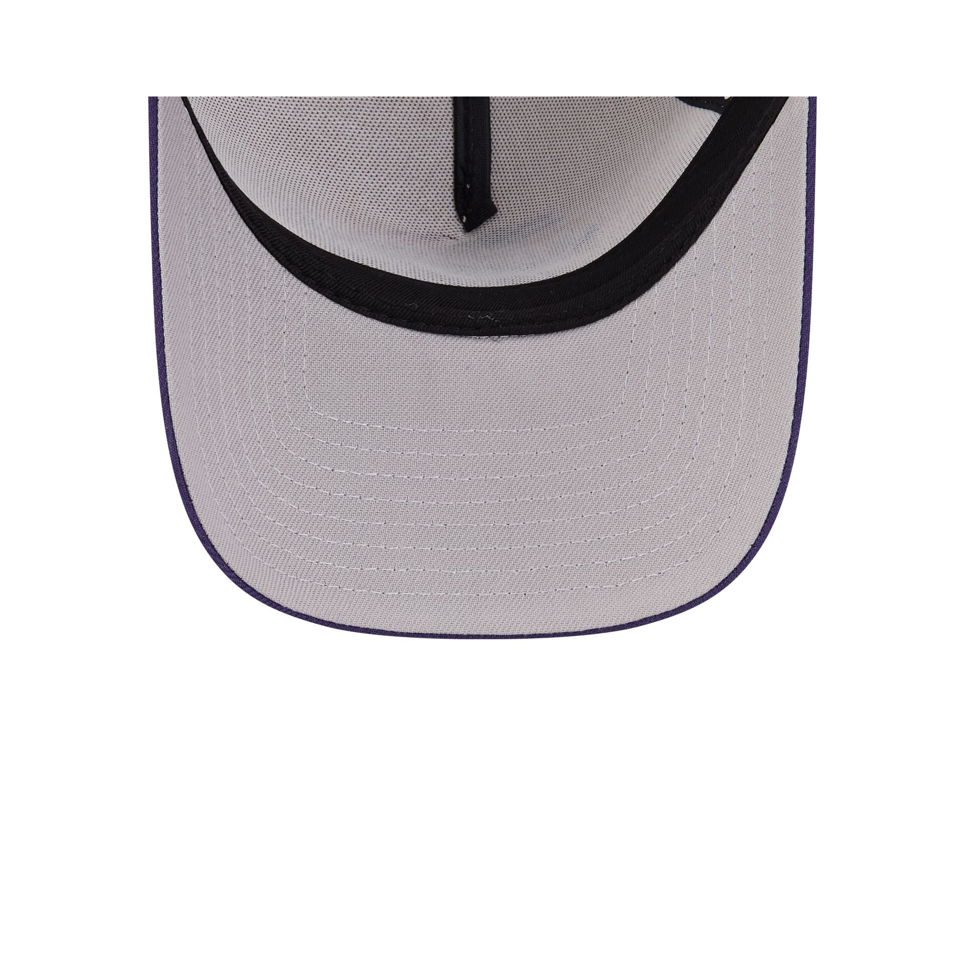 Toronto Raptors Hardwood Classics Retro Stone 9FORTY A-Frame Snapback Hat