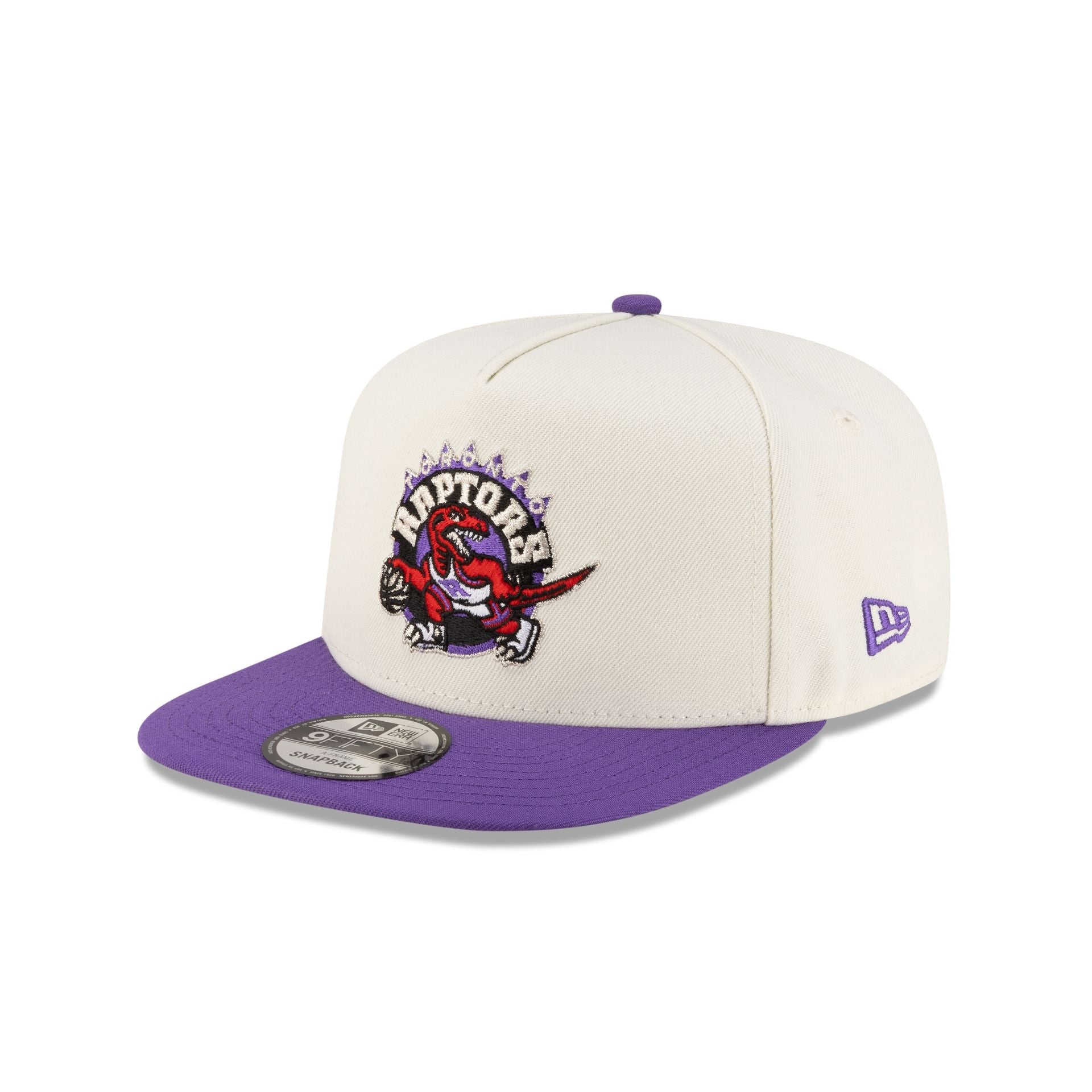 Toronto Raptors 1995-2008 Hardwood Classics Express Chrome White 9FIFTY A-Frame Snapback Hat