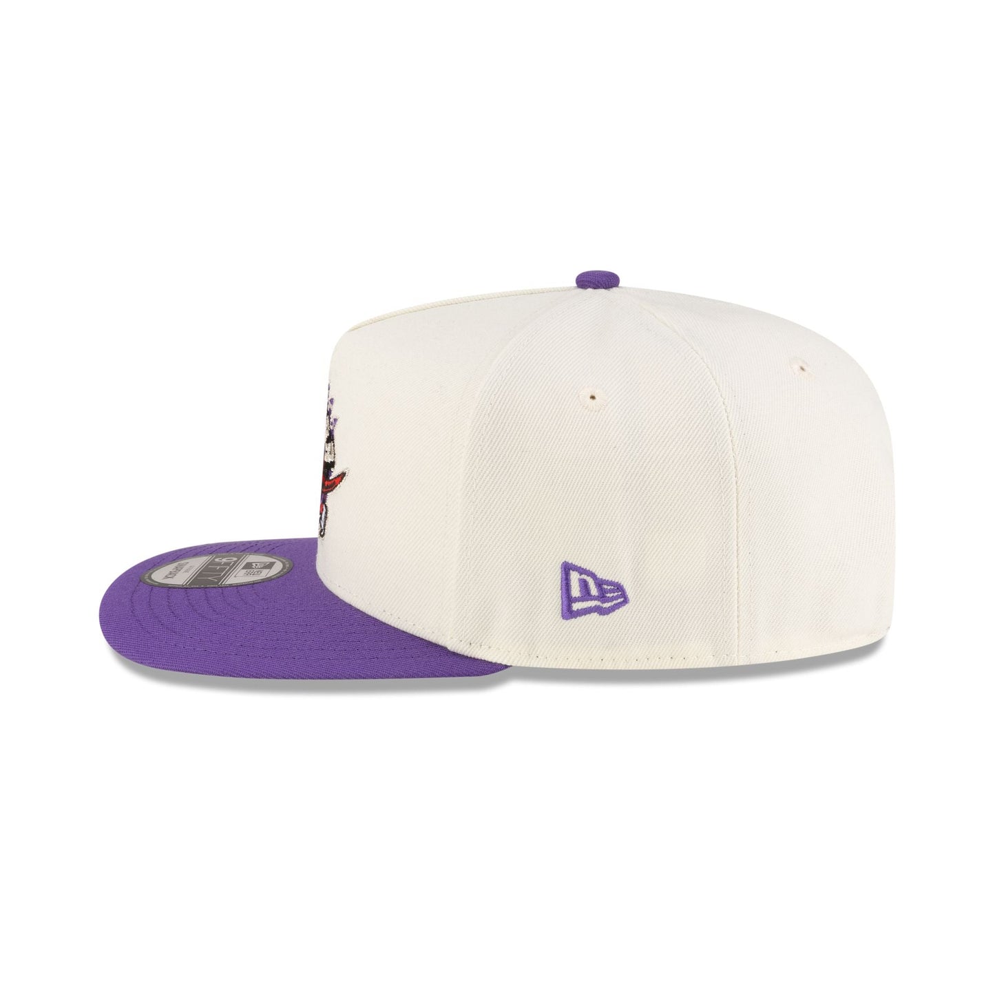 Toronto Raptors 1995-2008 Hardwood Classics Express Chrome White 9FIFTY A-Frame Snapback Hat