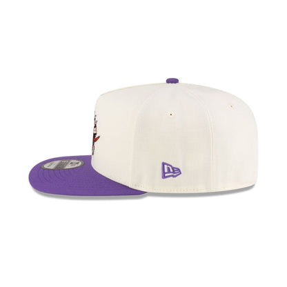 Toronto Raptors 1995-2008 Hardwood Classics Express Chrome White 9FIFTY A-Frame Snapback Hat