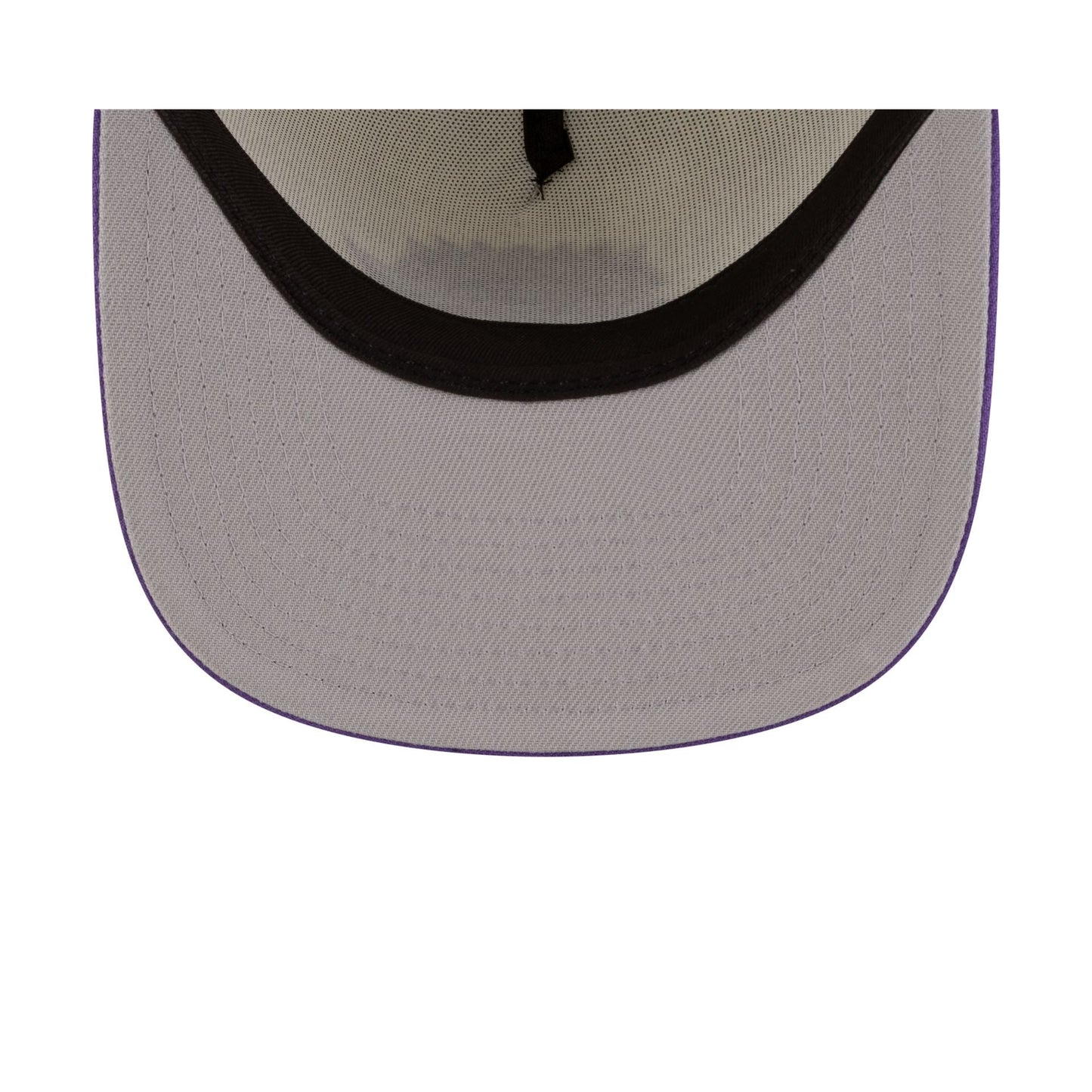Toronto Raptors 1995-2008 Hardwood Classics Express Chrome White 9FIFTY A-Frame Snapback Hat